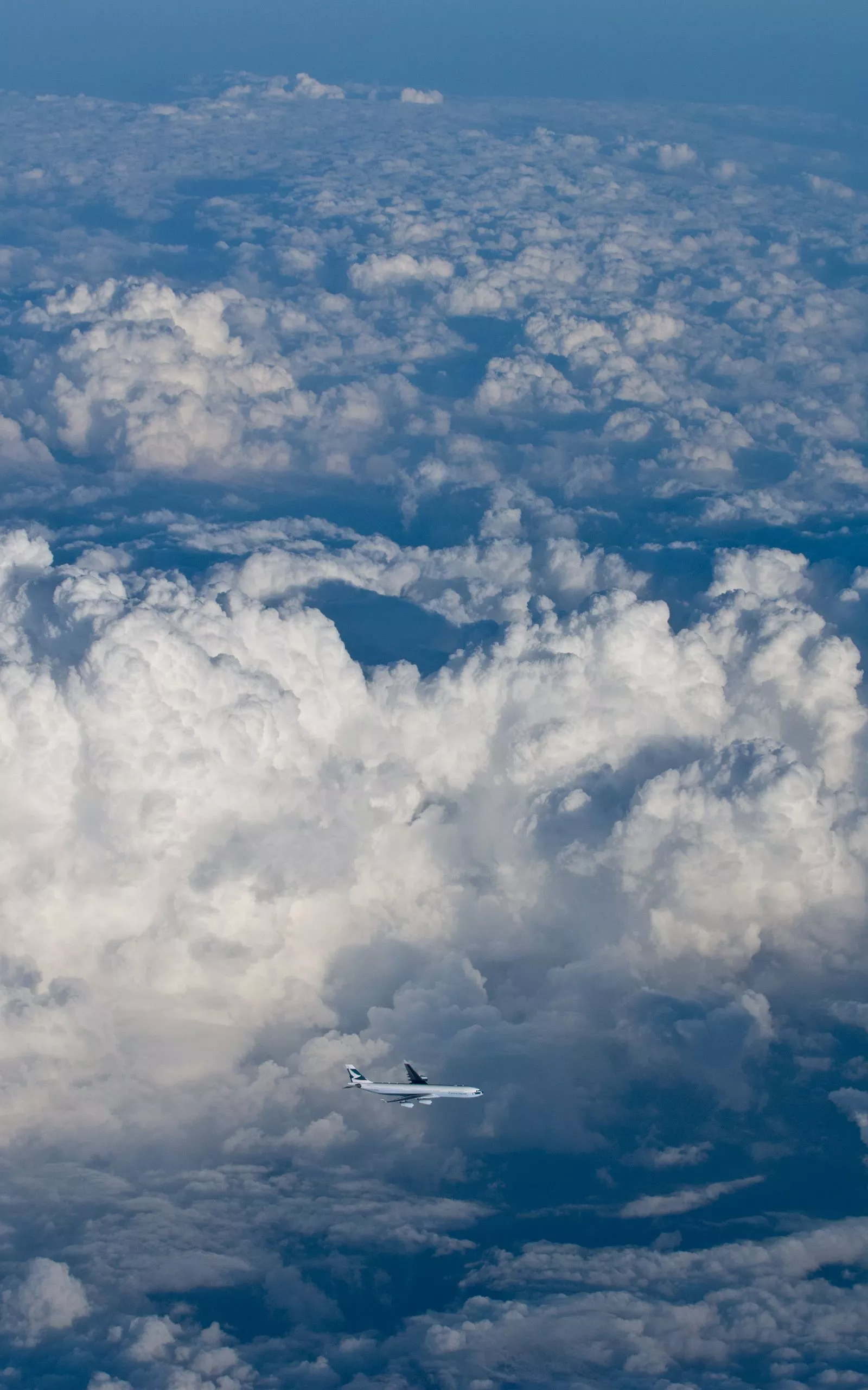 View from the Window Seat