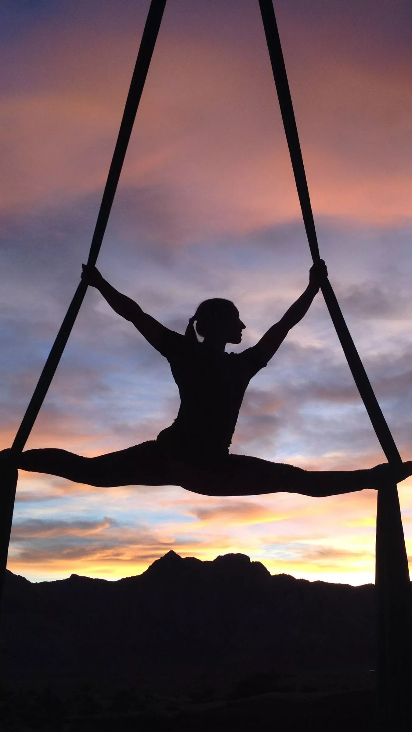 Download wallpaper 1350x2400 silhouette