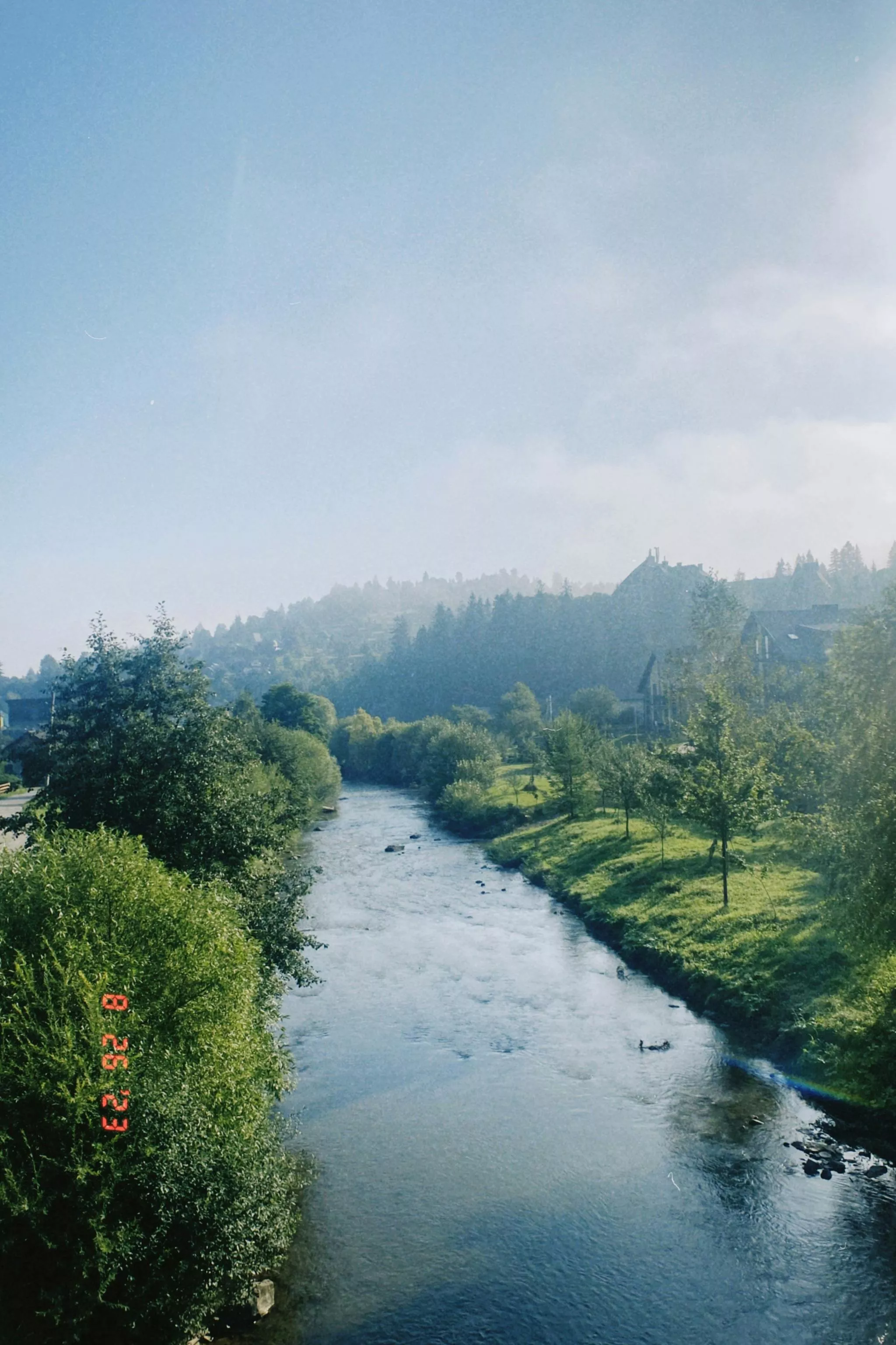 Forest in Village · Free