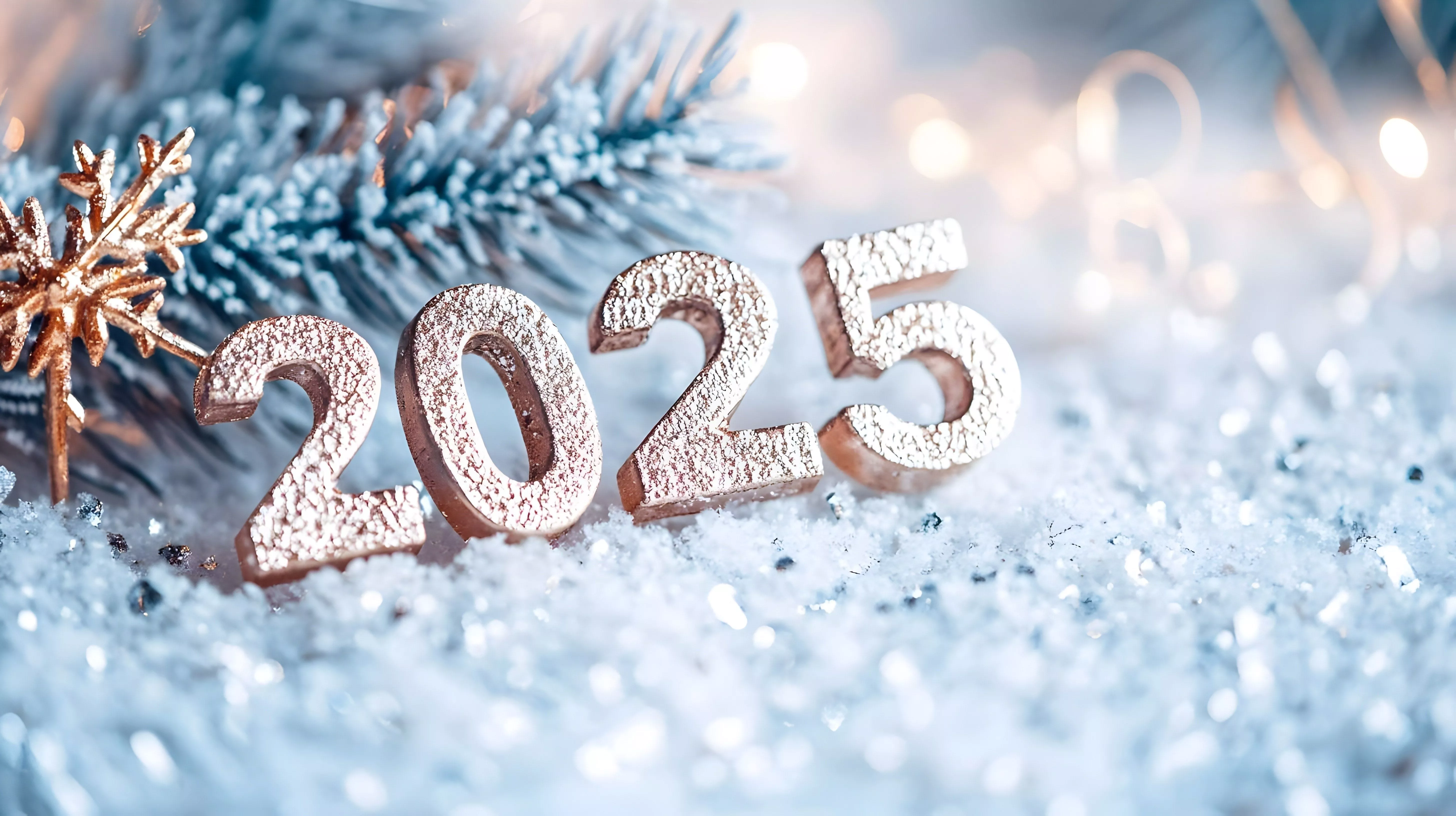 2025 Winter Wallpapers Wallpaper Cave