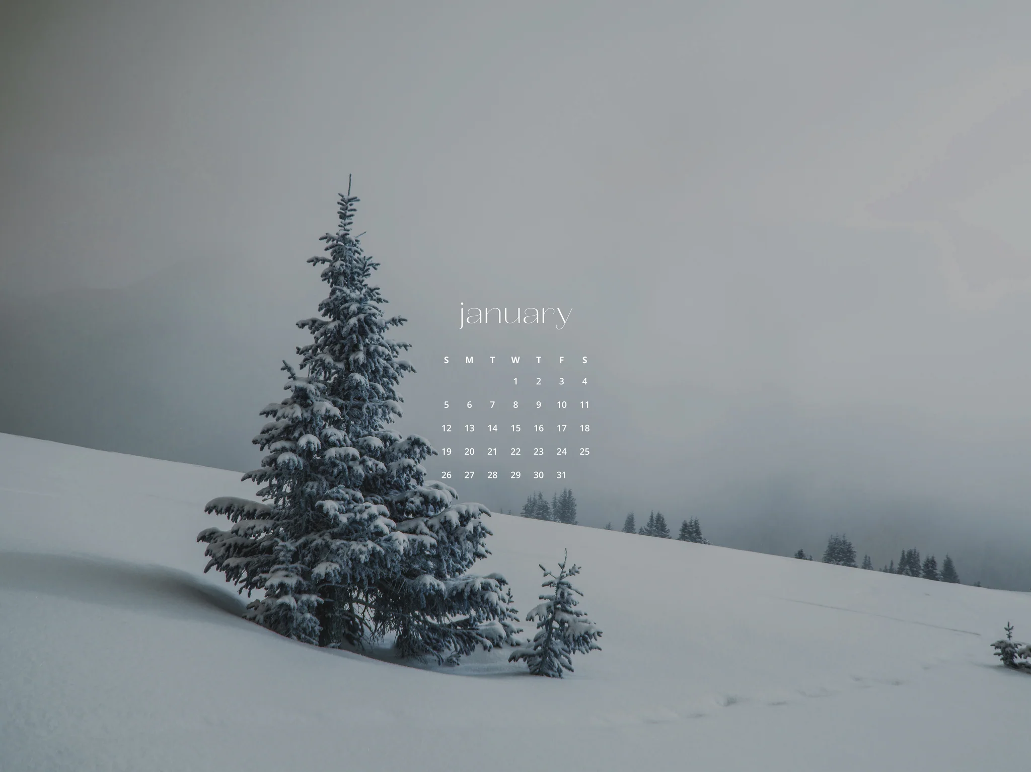 January 2025 Free Wallpaper