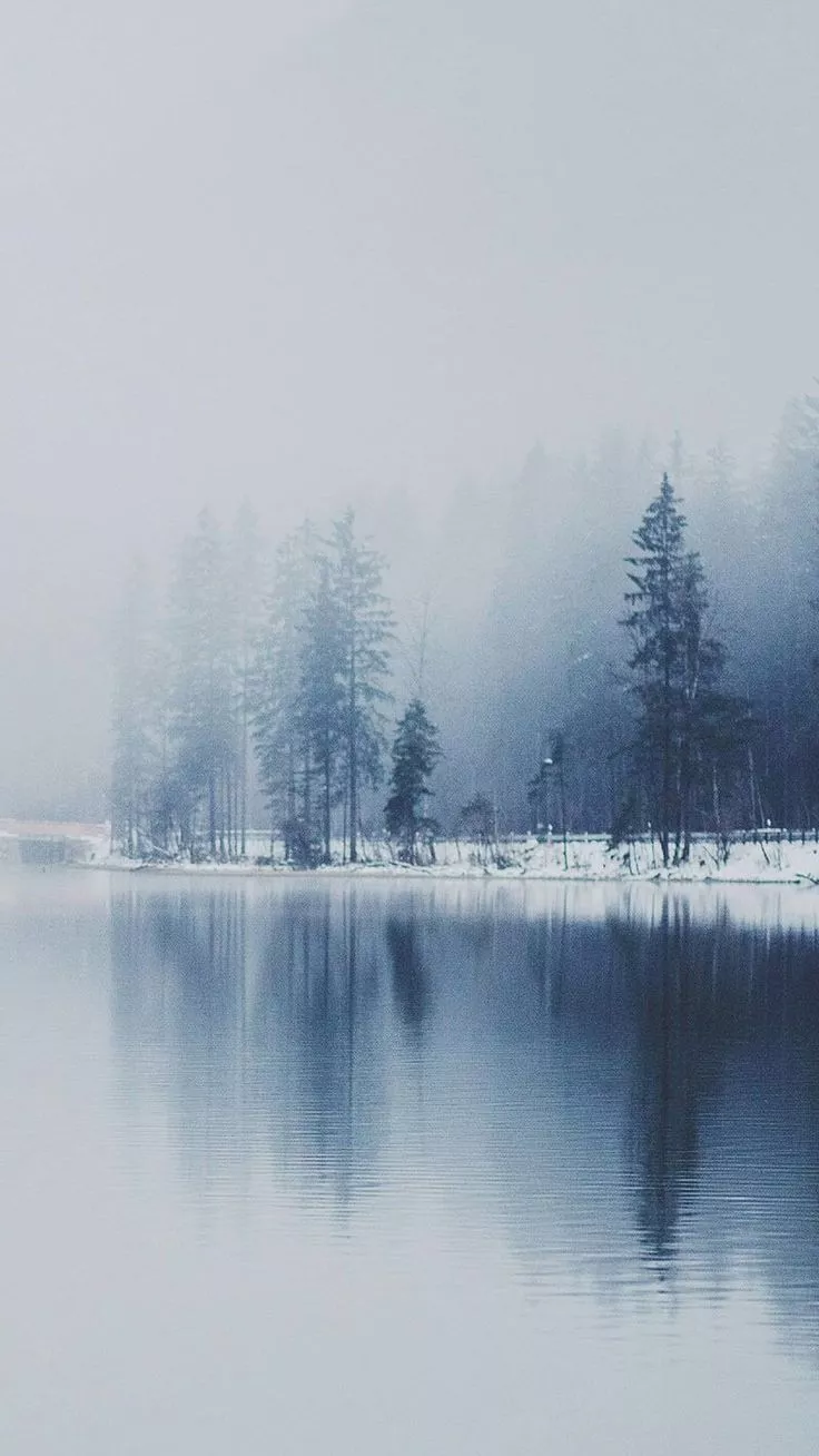 January 2025 wallpaper