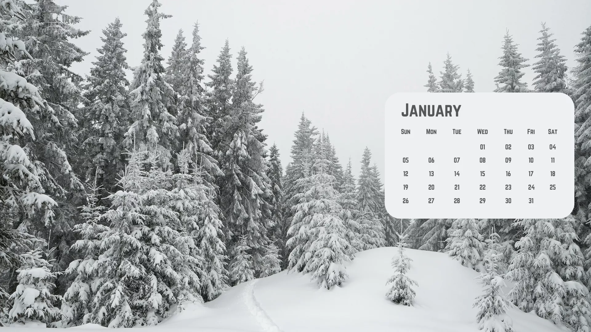 January 2025 Background