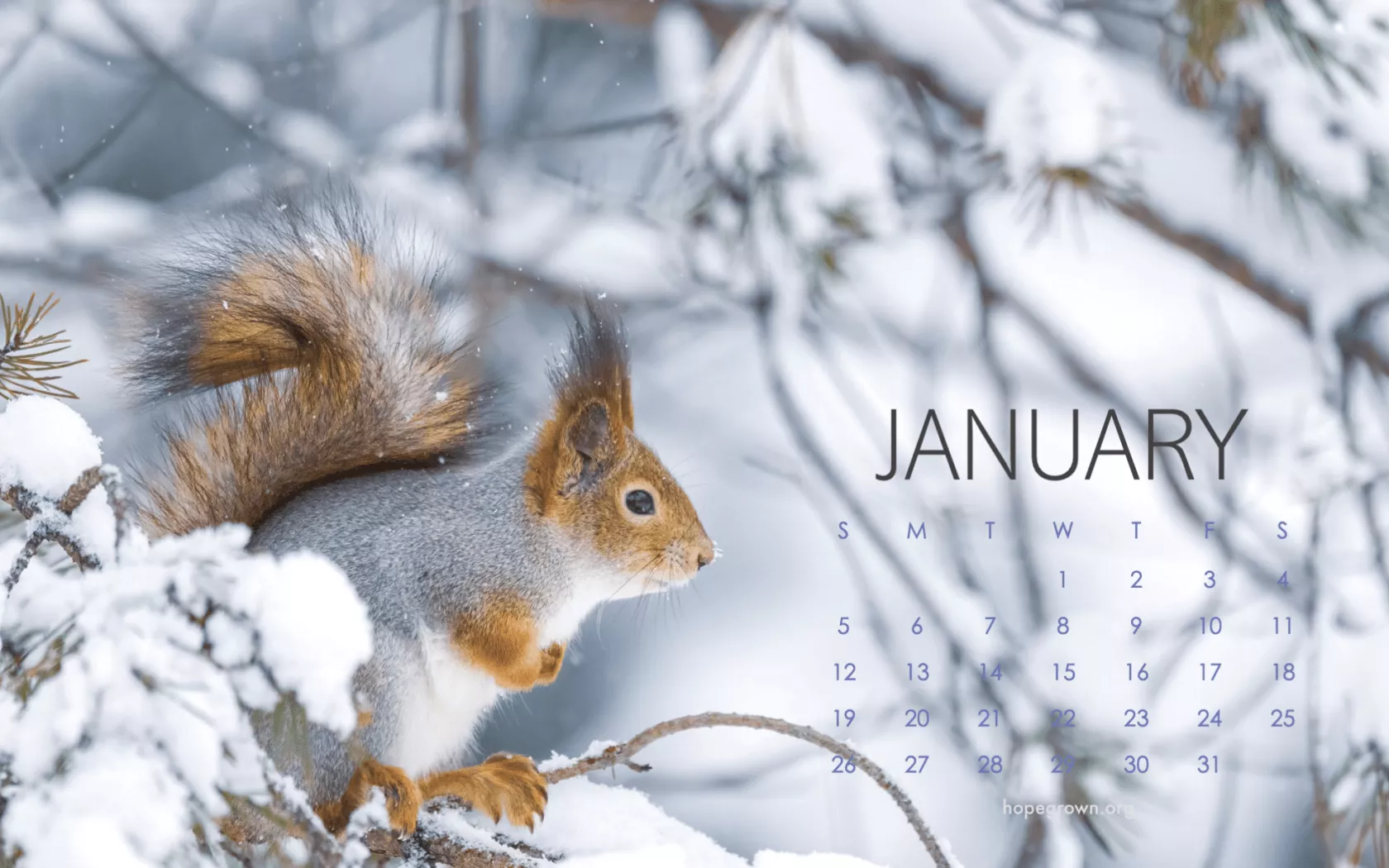 Free January Calendar 2025