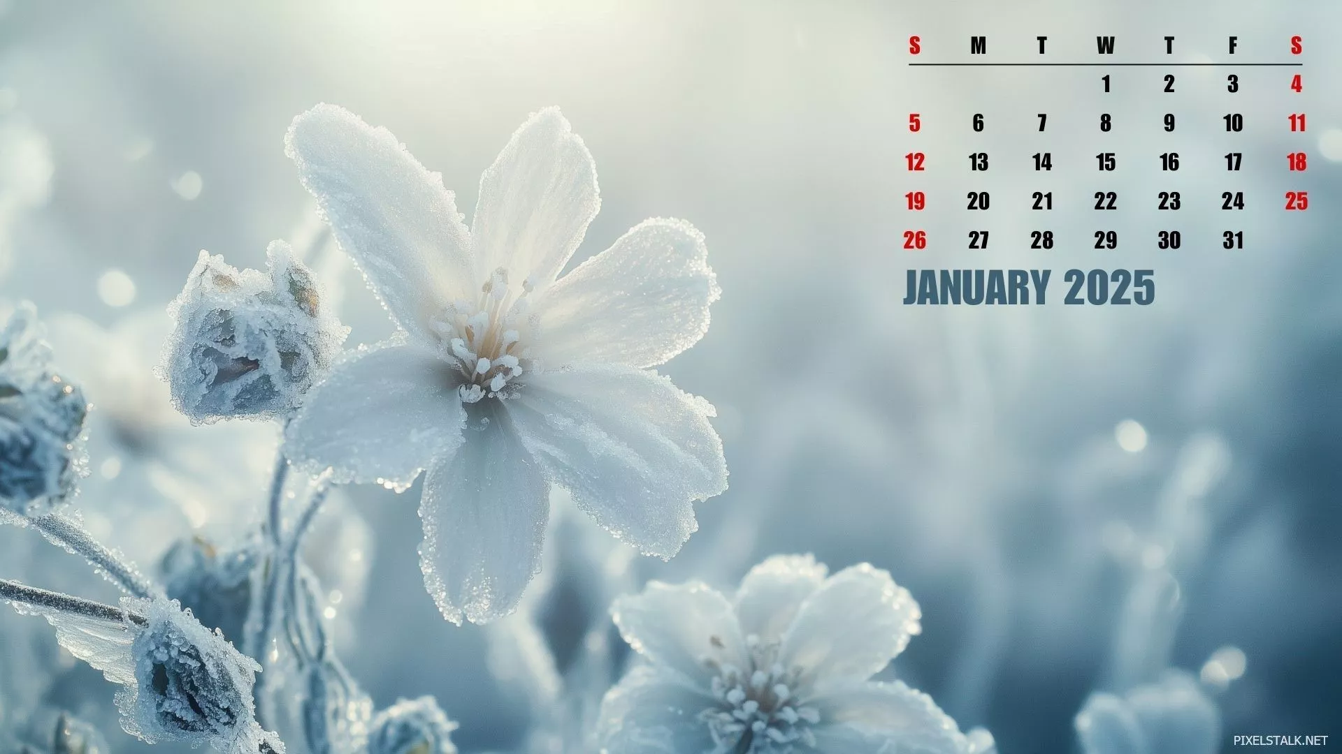 2025 January Calendar Desktop