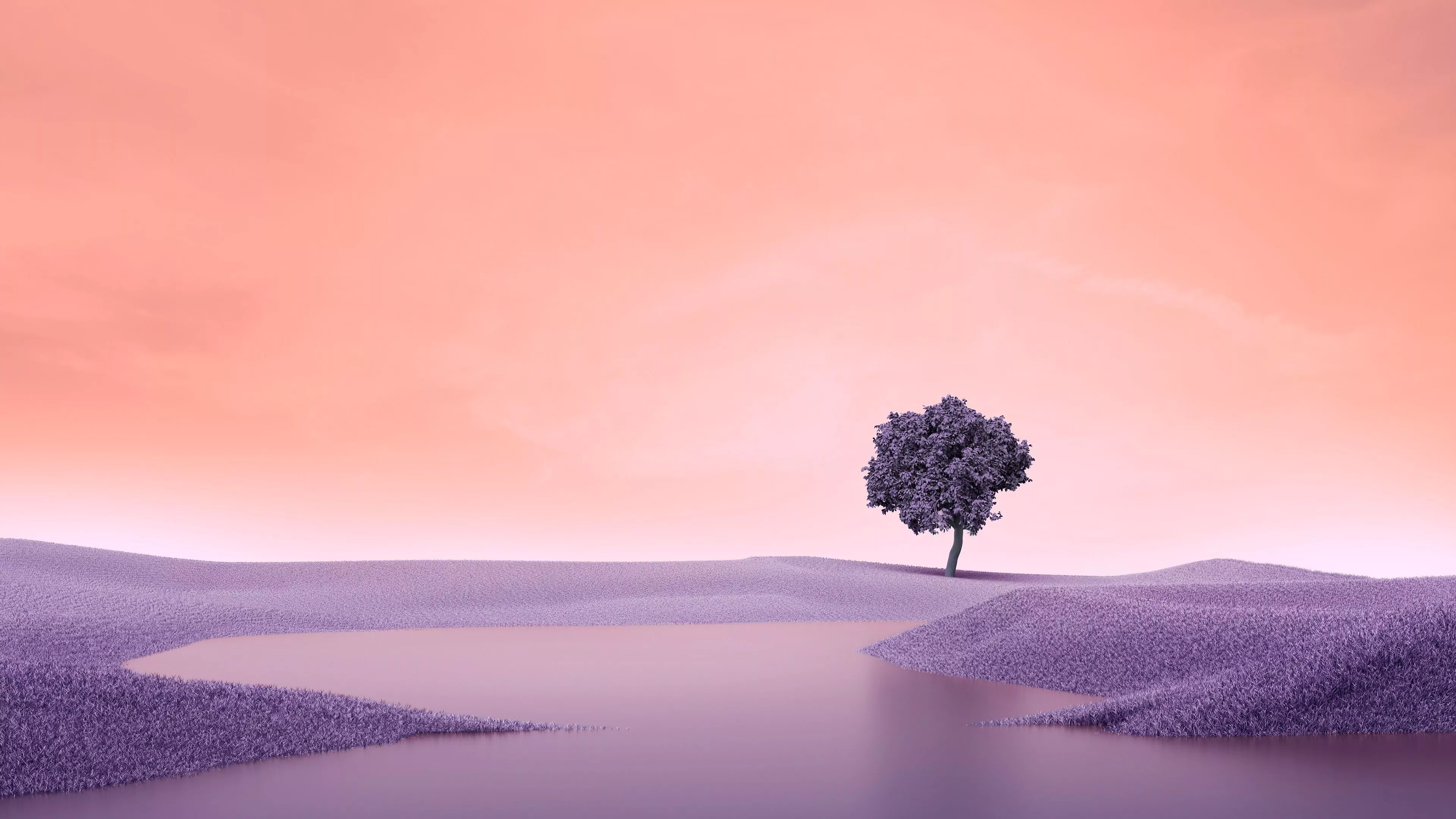 Lone tree Wallpaper 4K, Surreal, Landscape, Spring, Lake