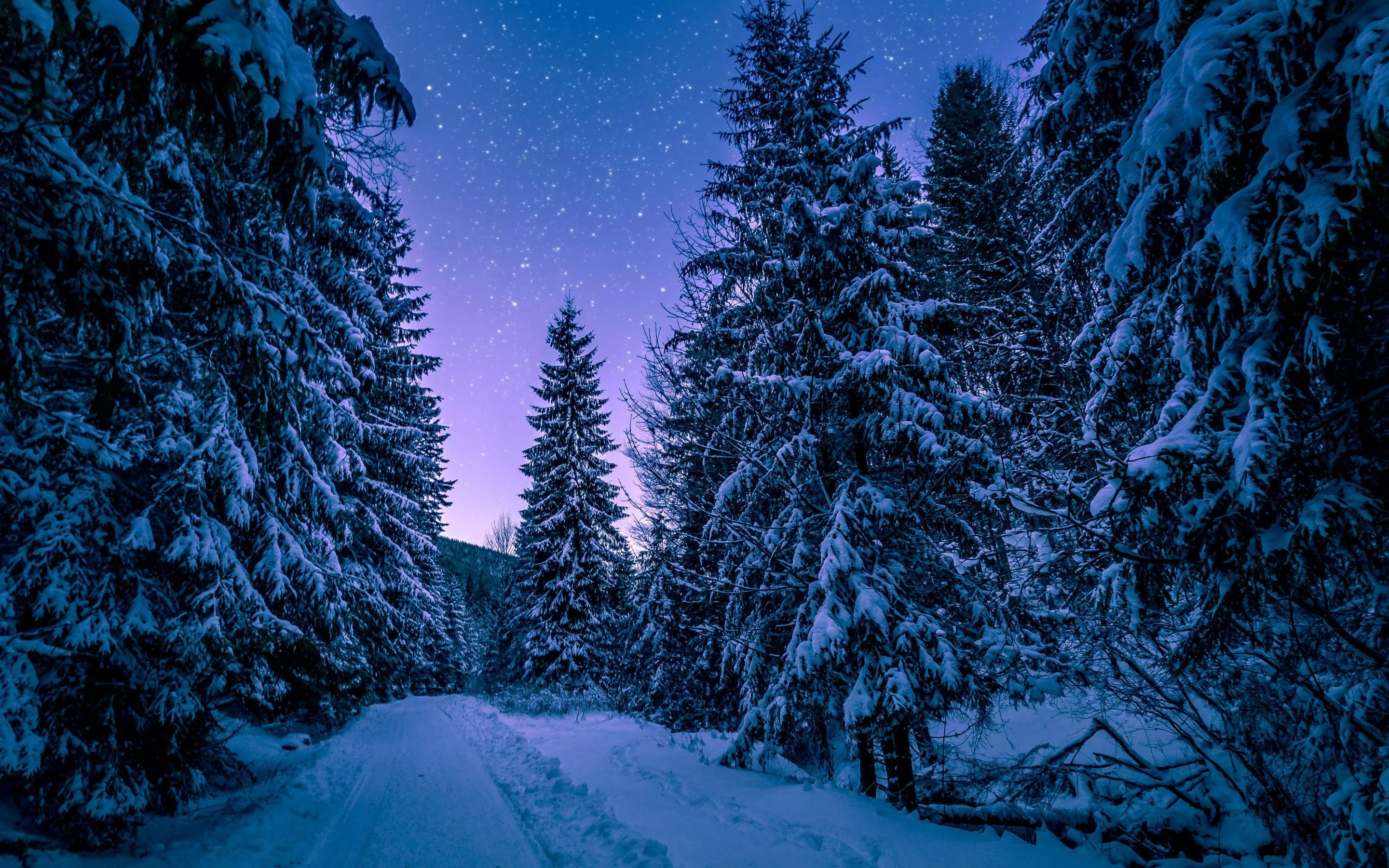 Beautiful Winter Wallpaper