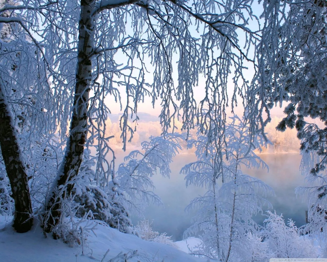 Beautiful Winter Frost Ultra HD