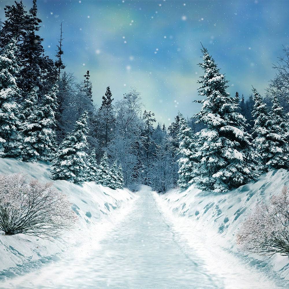Snowy White Winter Photo Backdrop