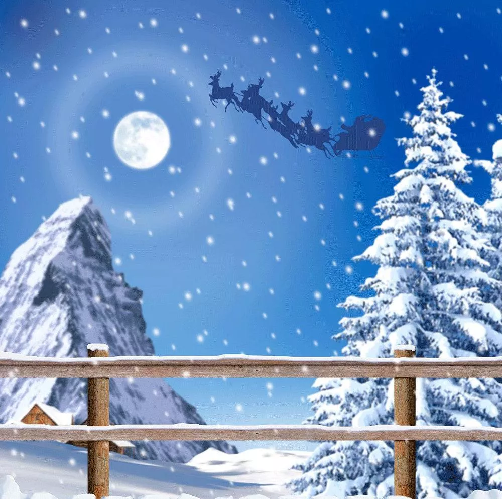 Santa's Sleigh Winter Photo Backdrop