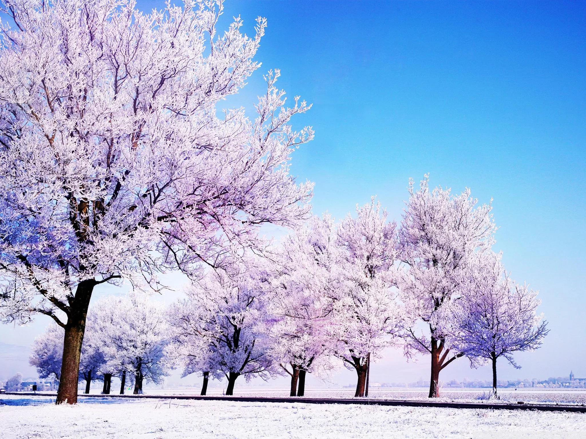 Winter Background Ultra HD Wallpaper