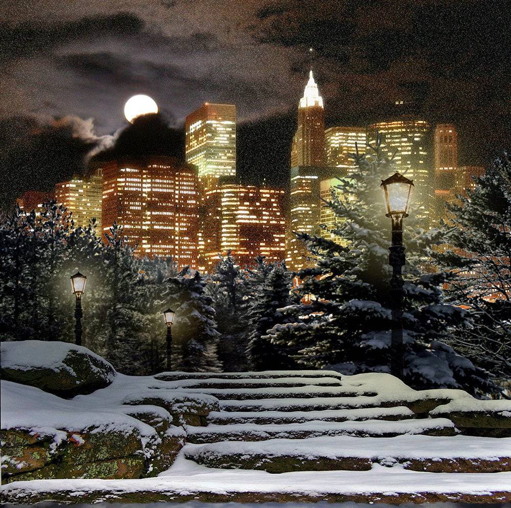 Winter City At Night Photo Backdrop