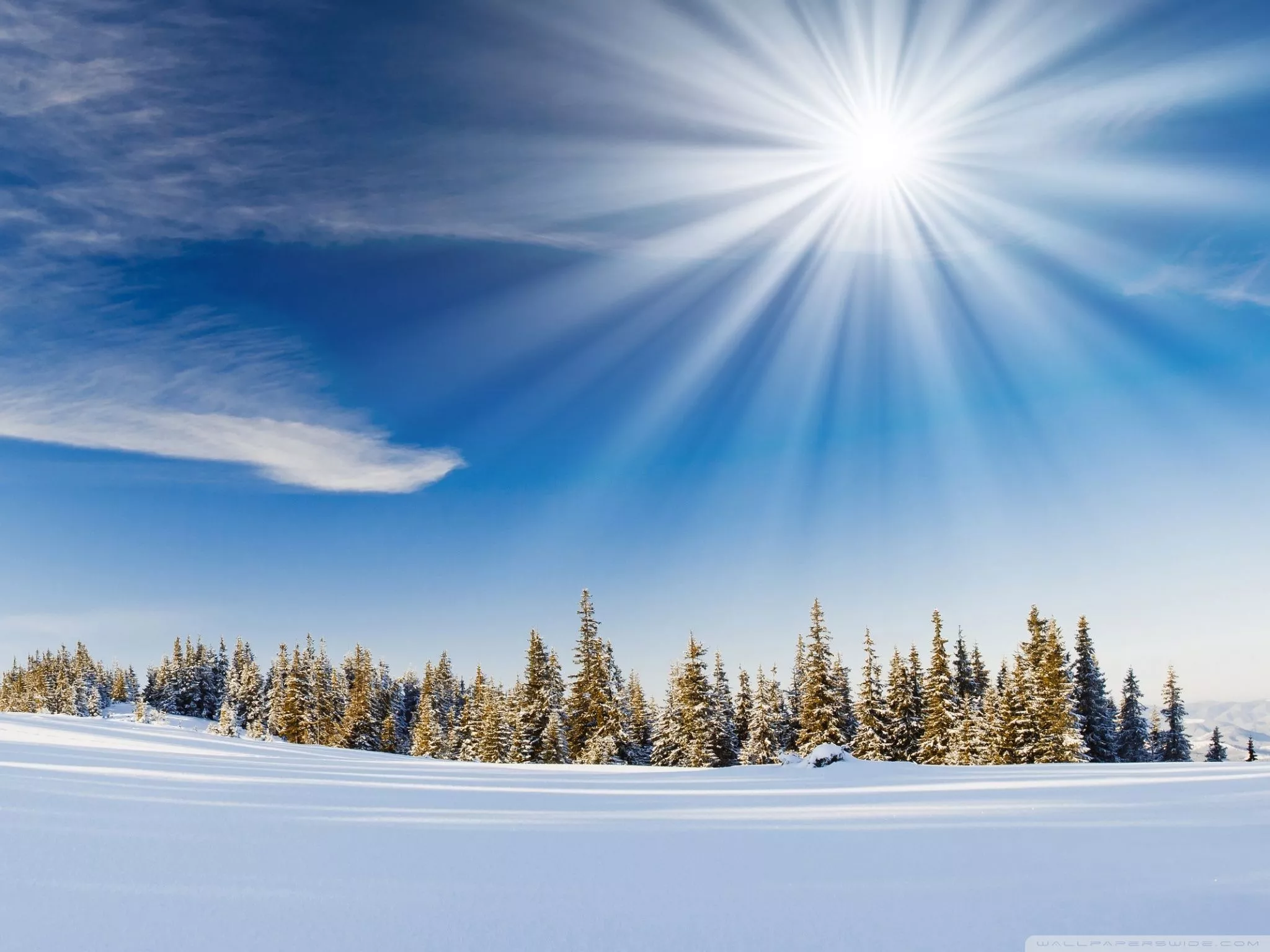 Winter Sunlight Ultra HD Wallpaper