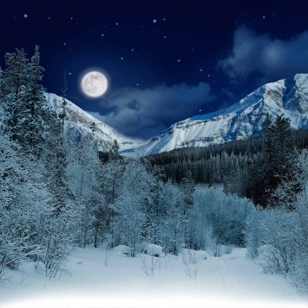 White Snowy Alpine Photo Backdrop