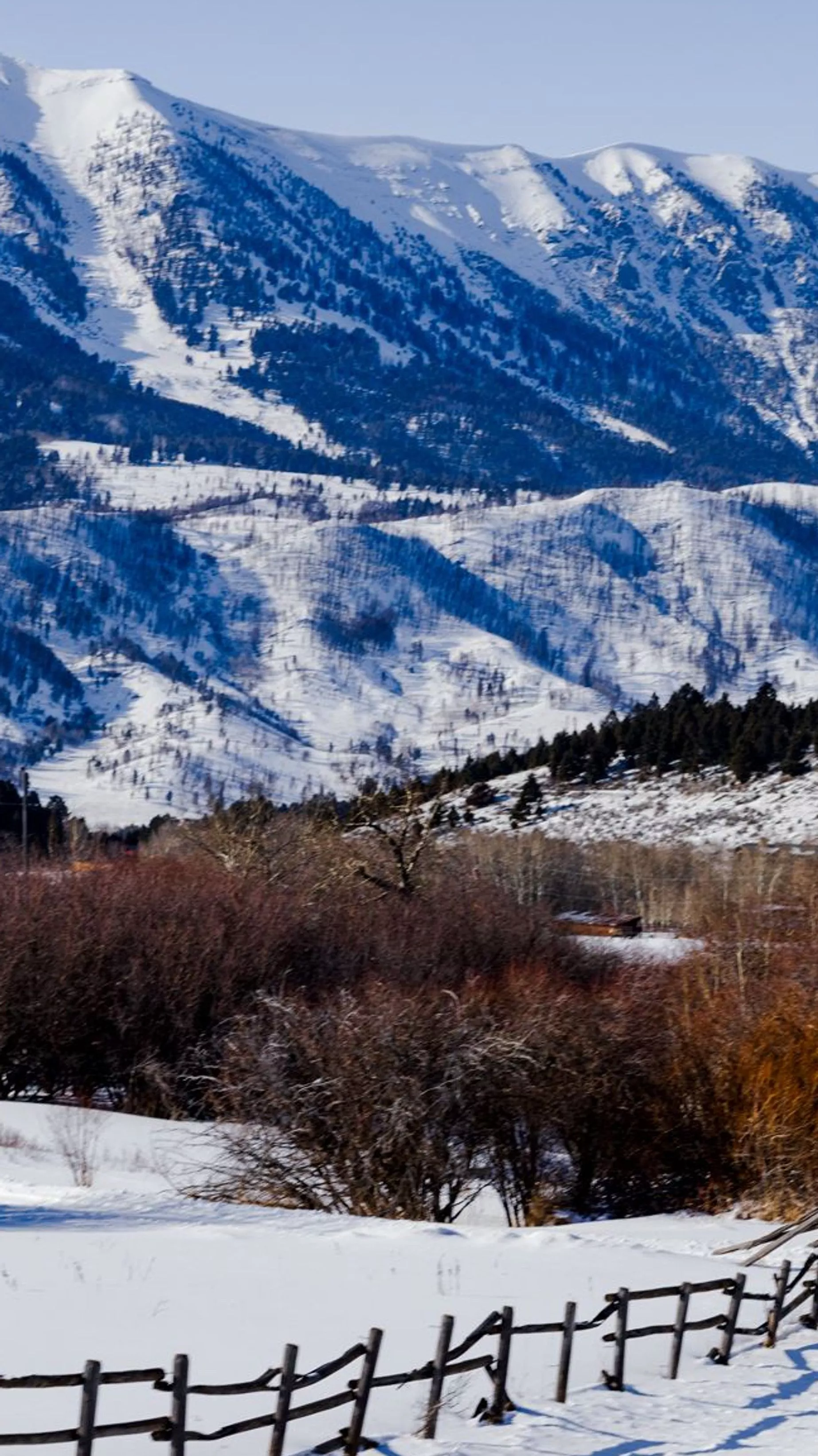 Arctic front to bring winter weather