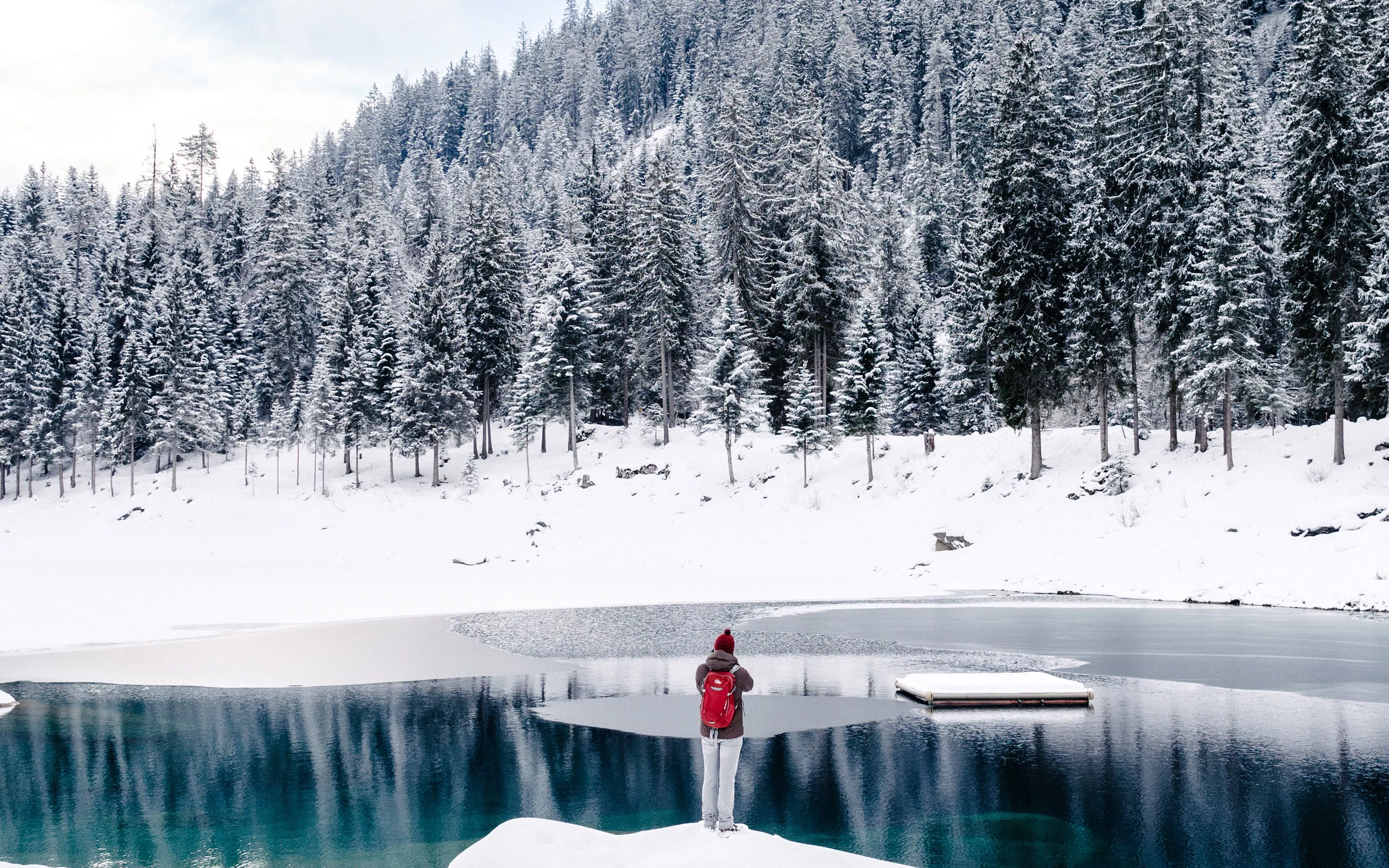 Nature Winter Snow Cold