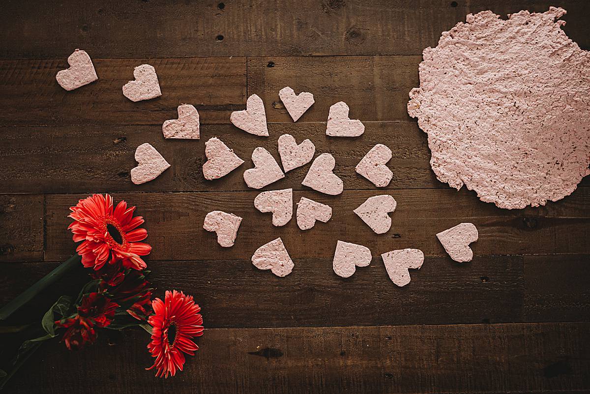 DIY Eco Friendly Plantable Seed Paper