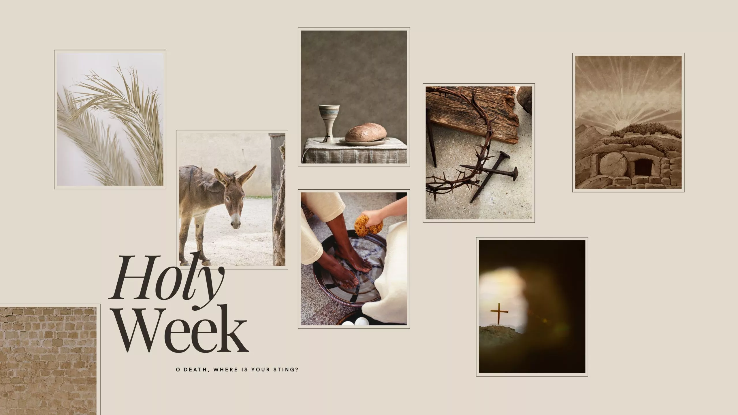 Meditating through Holy Week