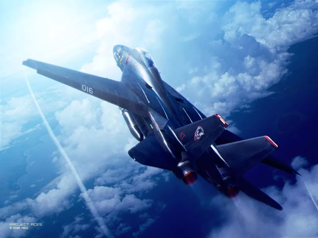 Ace Combat 5: The Unsung War official