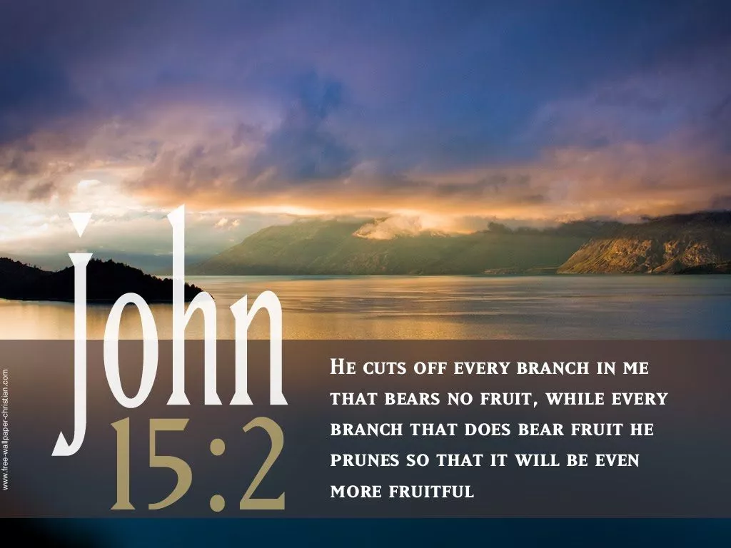 John 15 2 Christian Desktop Bible Verse