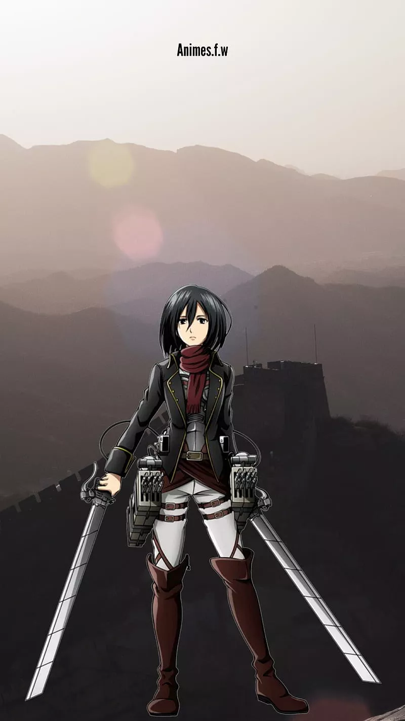 Mikasa Ackerman, anime, animes