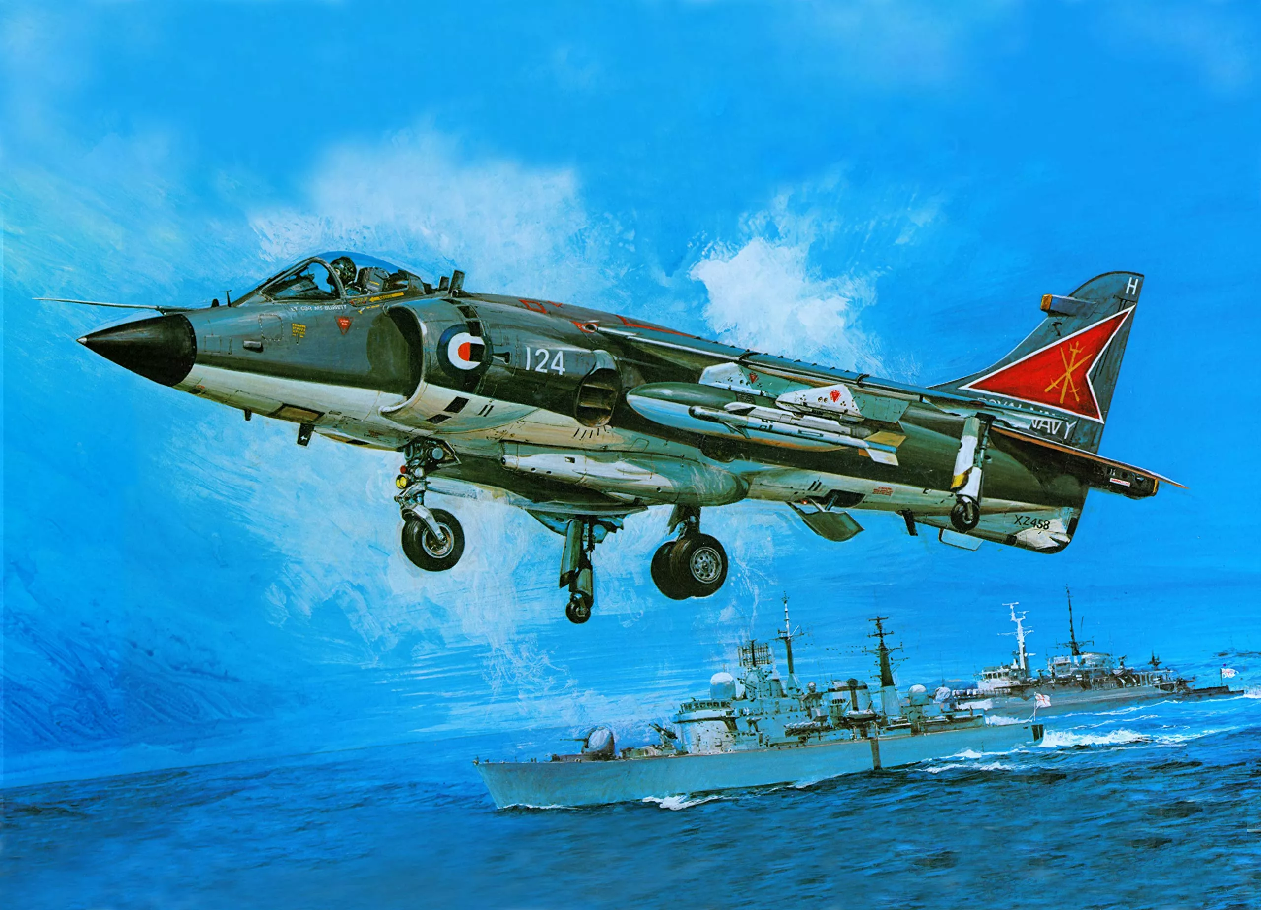 Sea Harrier Jet Fighters