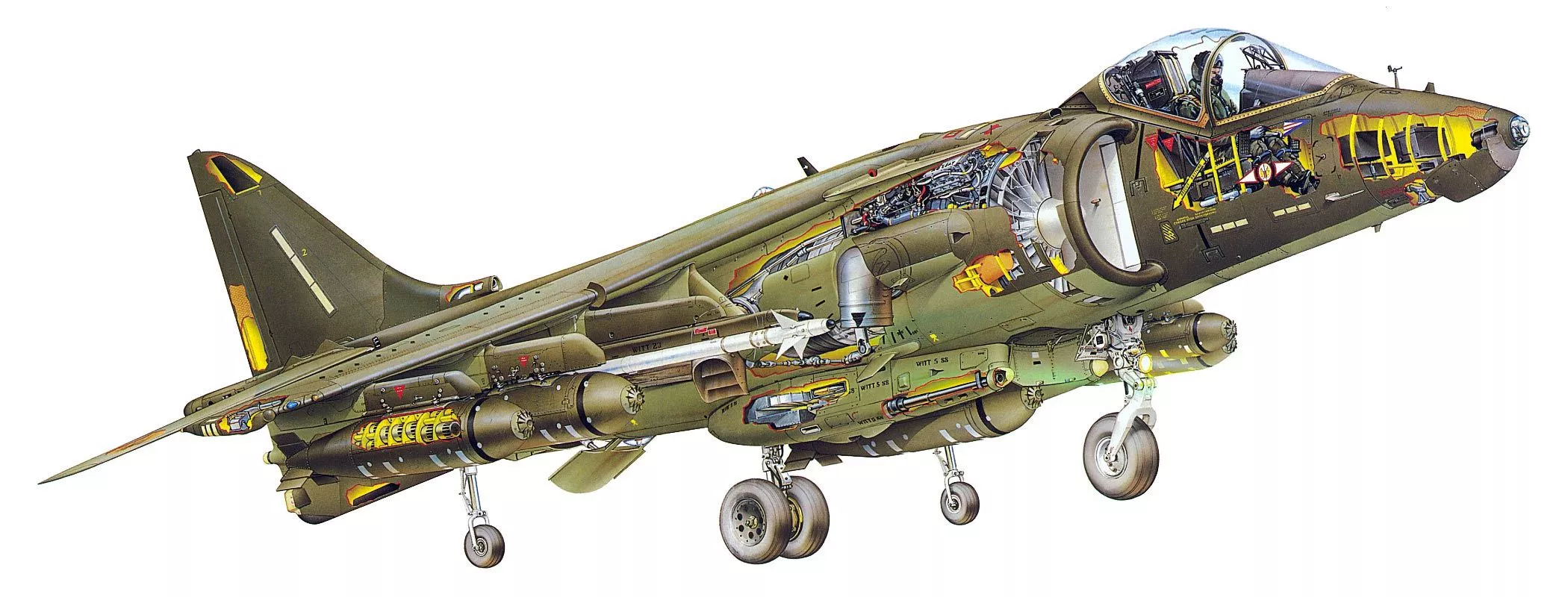 British Aerospace Sea Harrier Cutaway