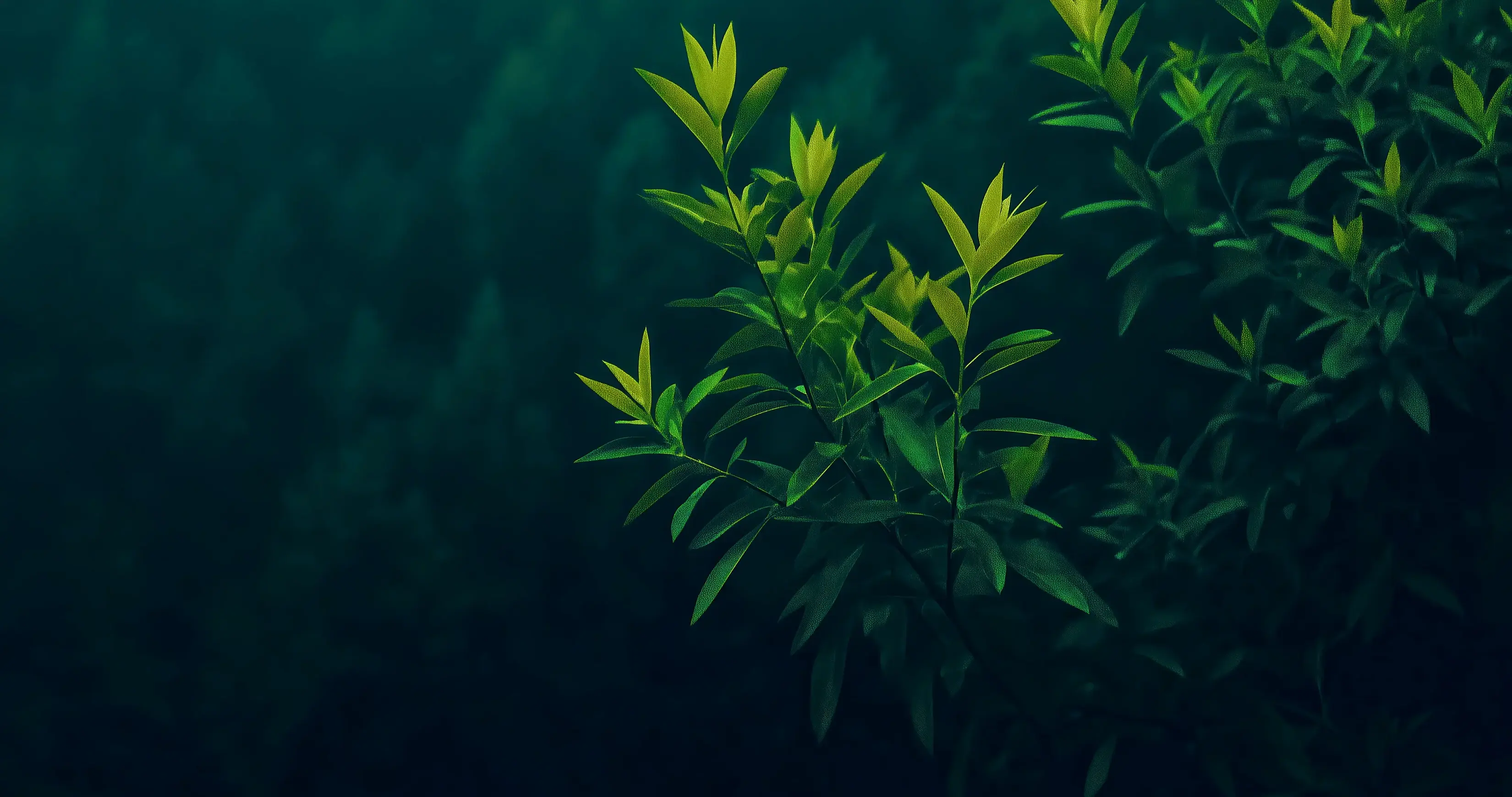 4k PC HD Wallpapers - Wallpaper Cave