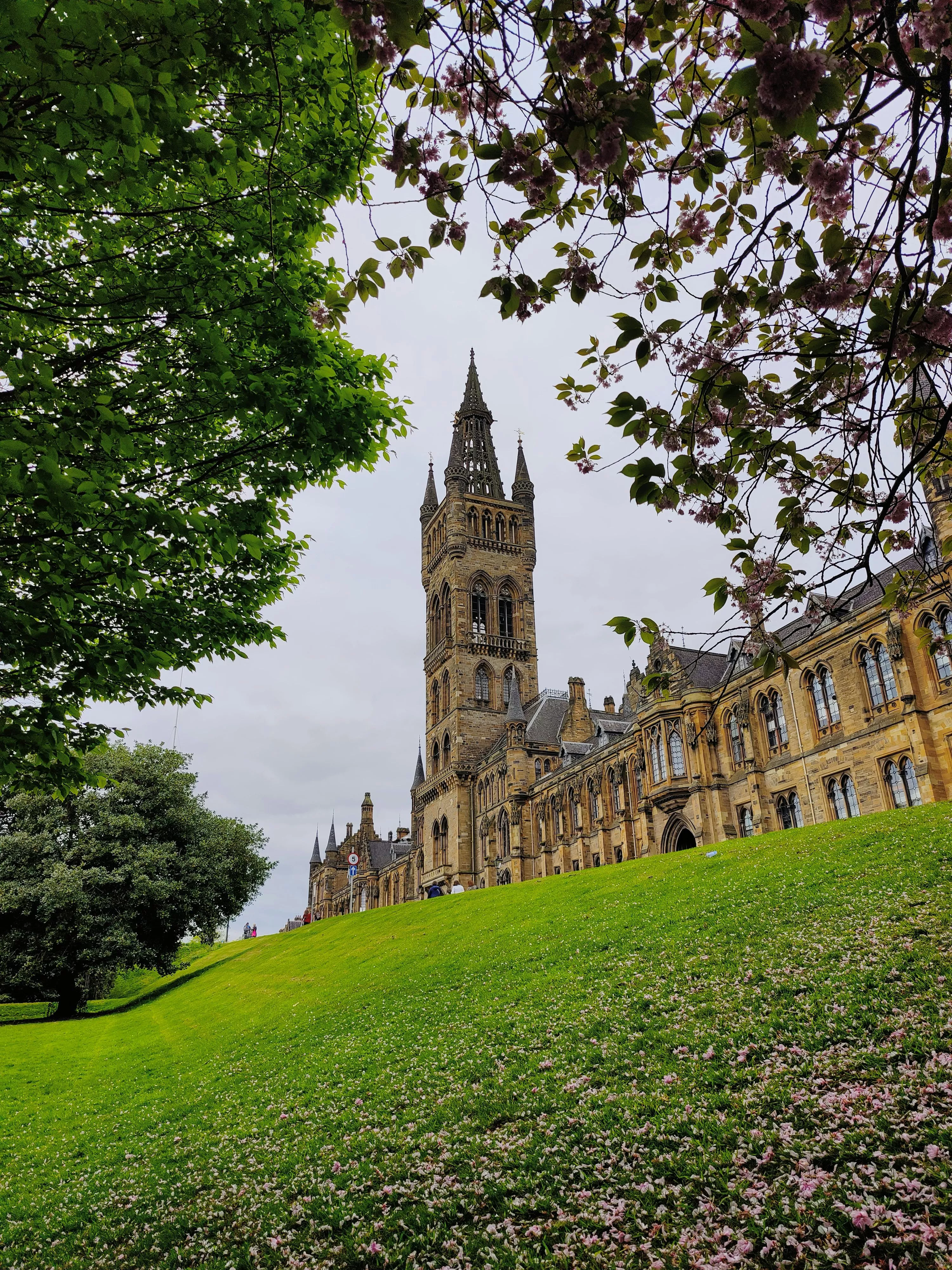 45,University Of Glasgow Picture