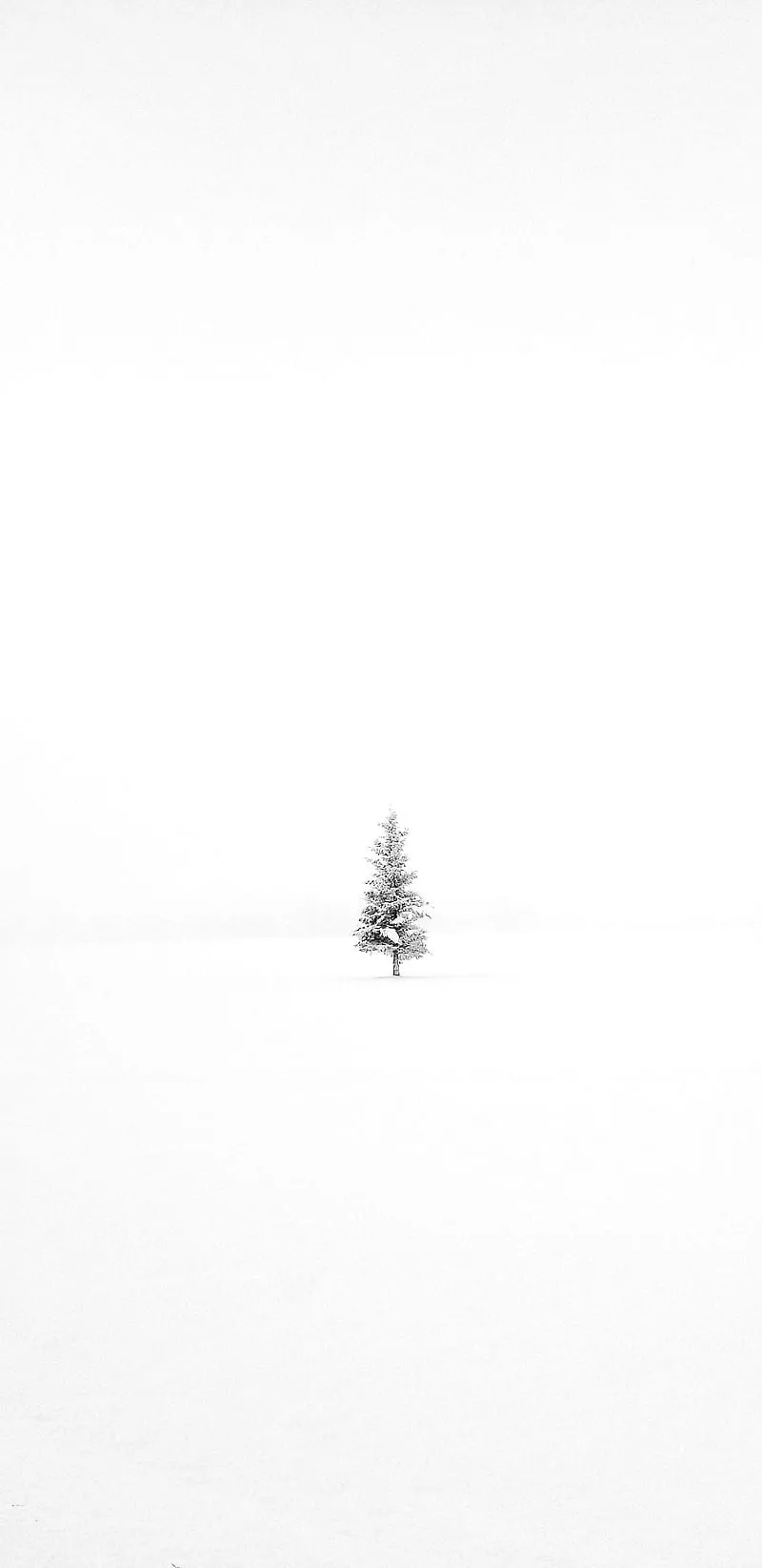 Minimalist Winter, landscape, minimal