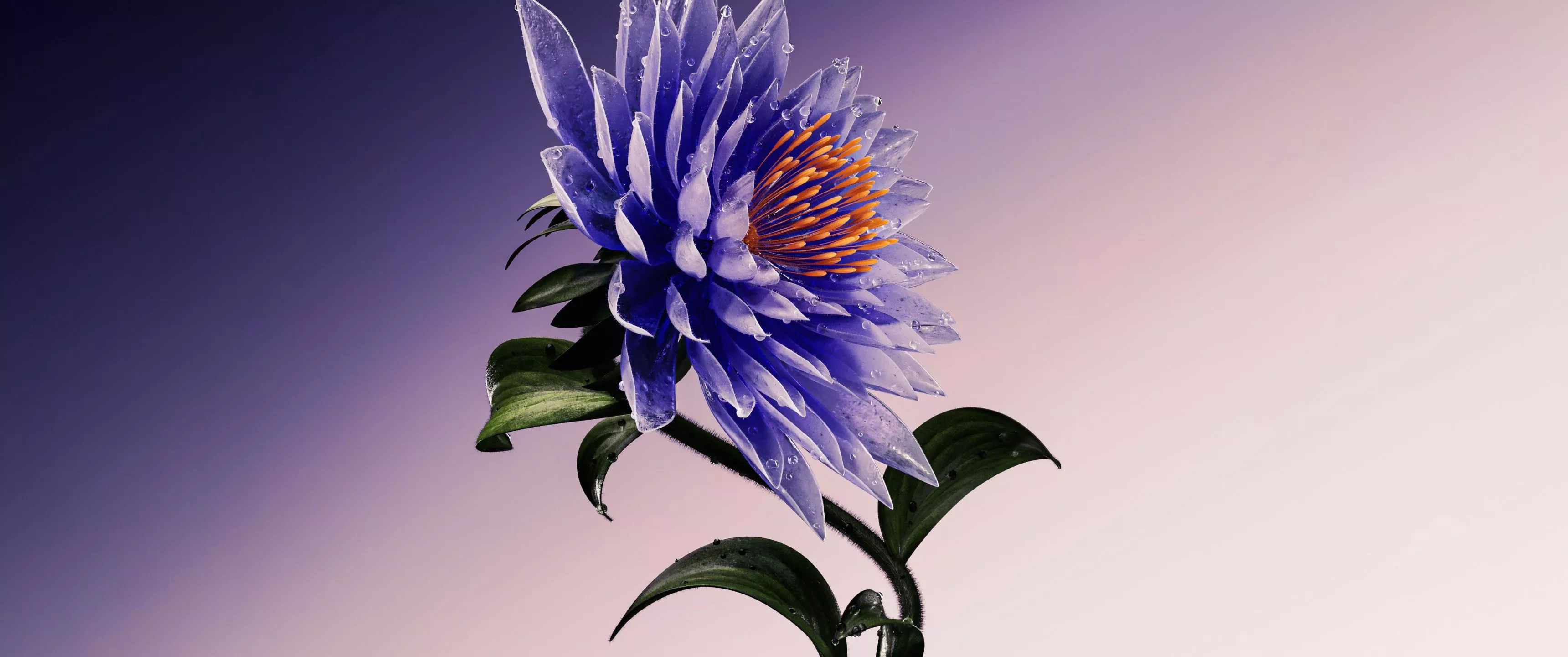 Purple Flower Wallpaper 4K, Artistic