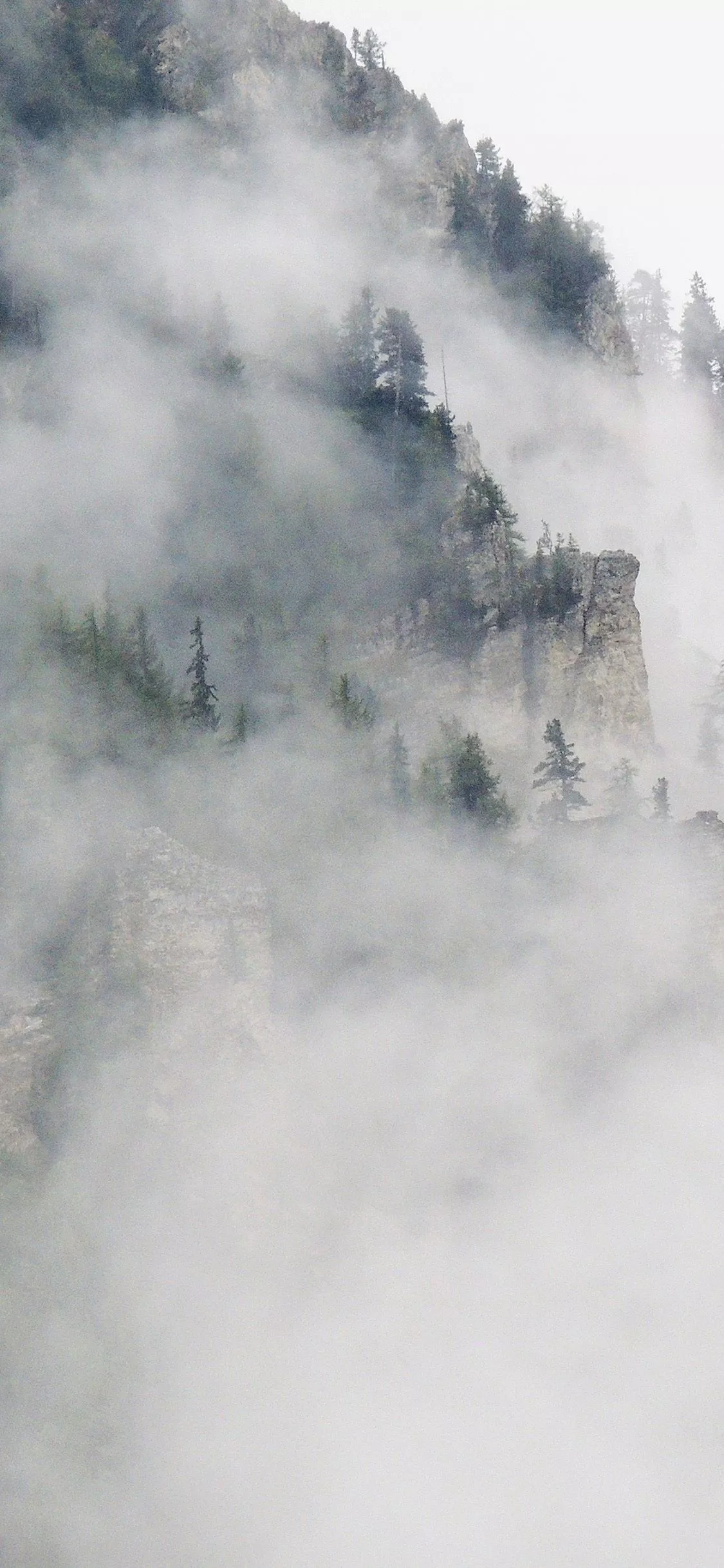 Nature Mountain Fog