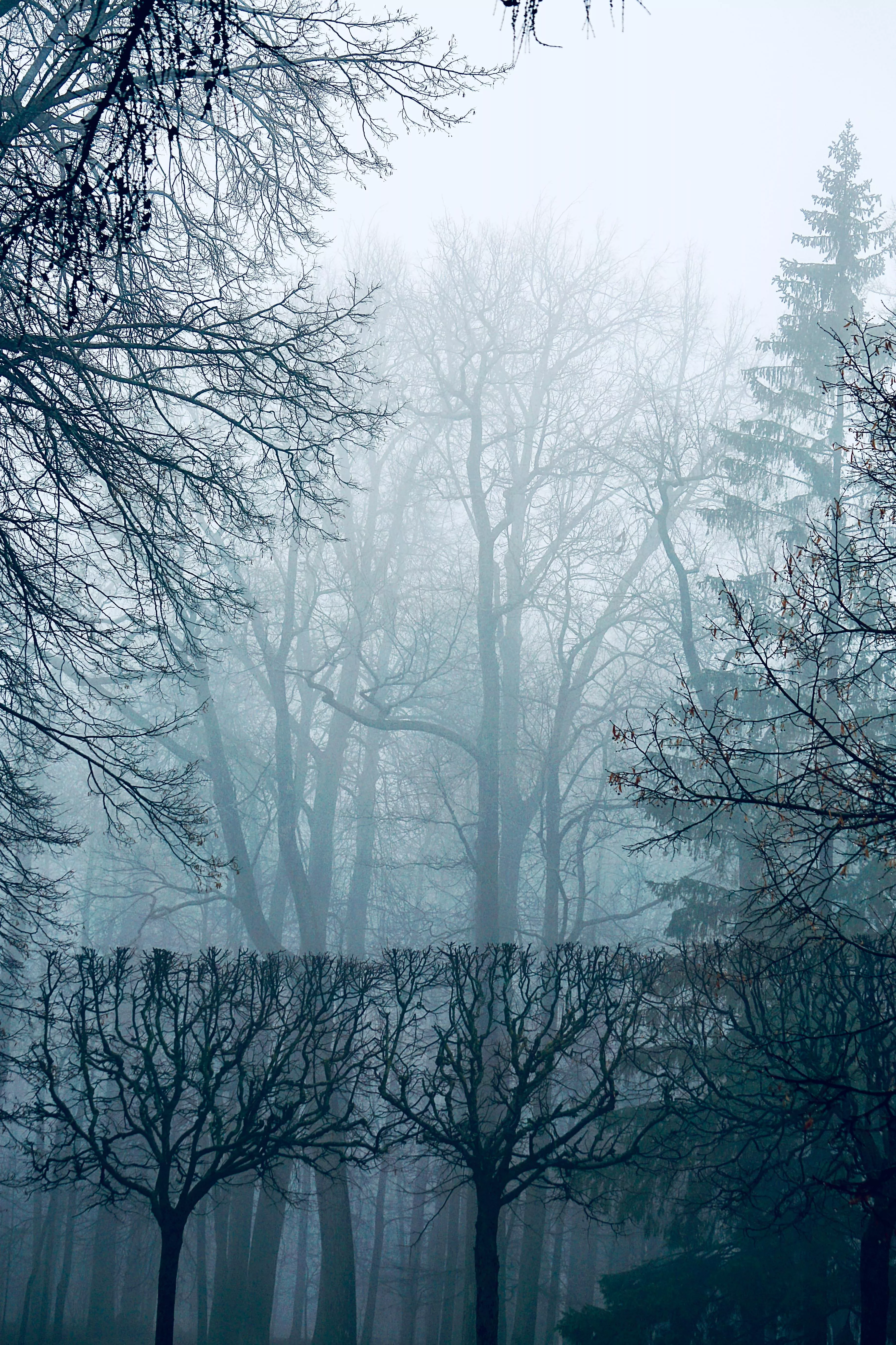 Body of Water Under Fog · Free