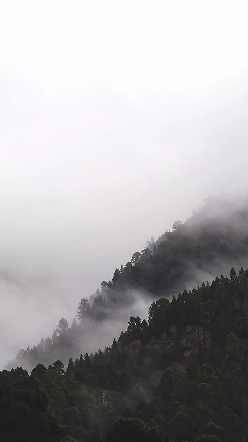 Summer fog iphone HD phone wallpaper