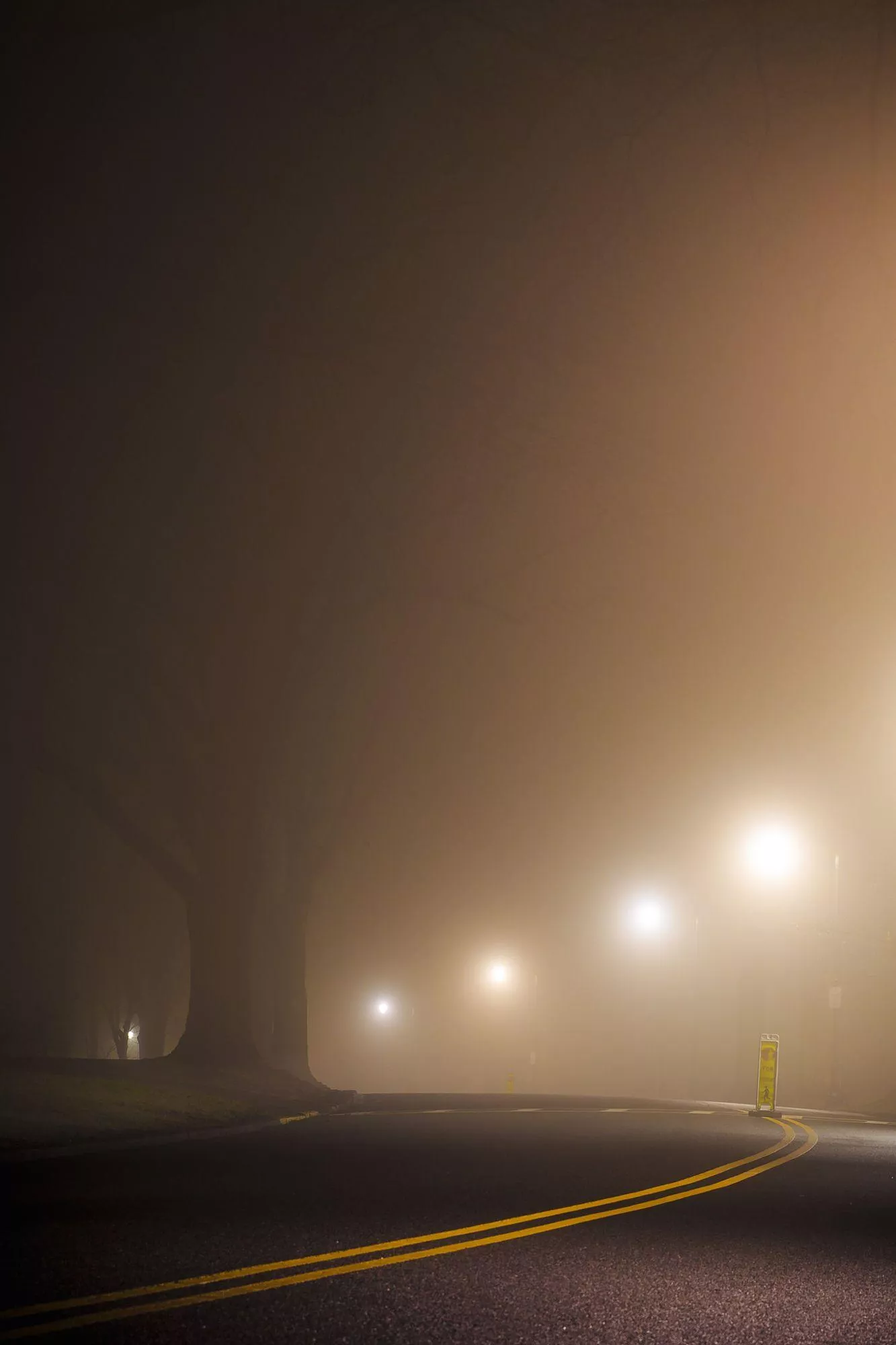 Fog iPhone Wallpaper Free Background