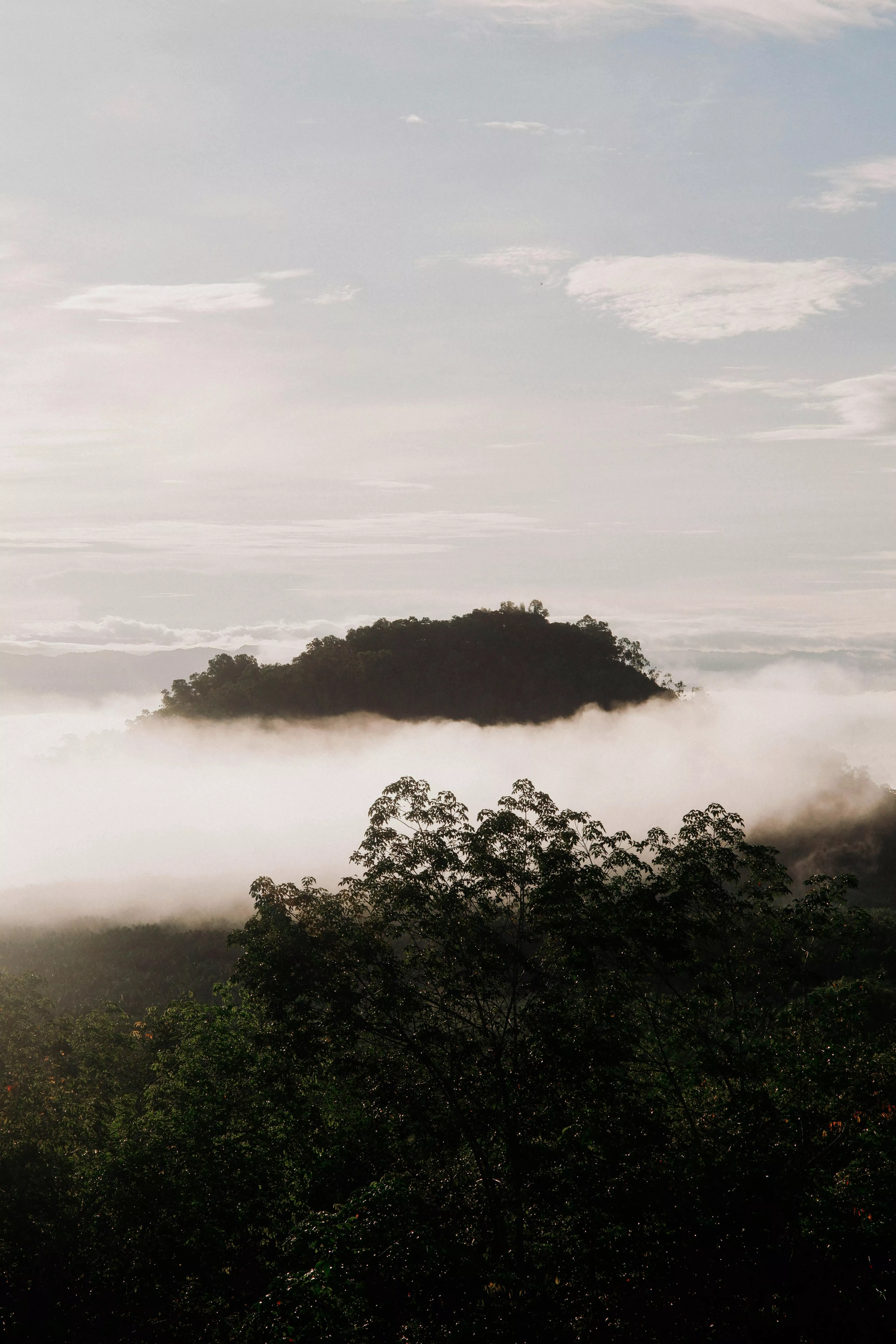 Fog and Clouds over Forest on Hill