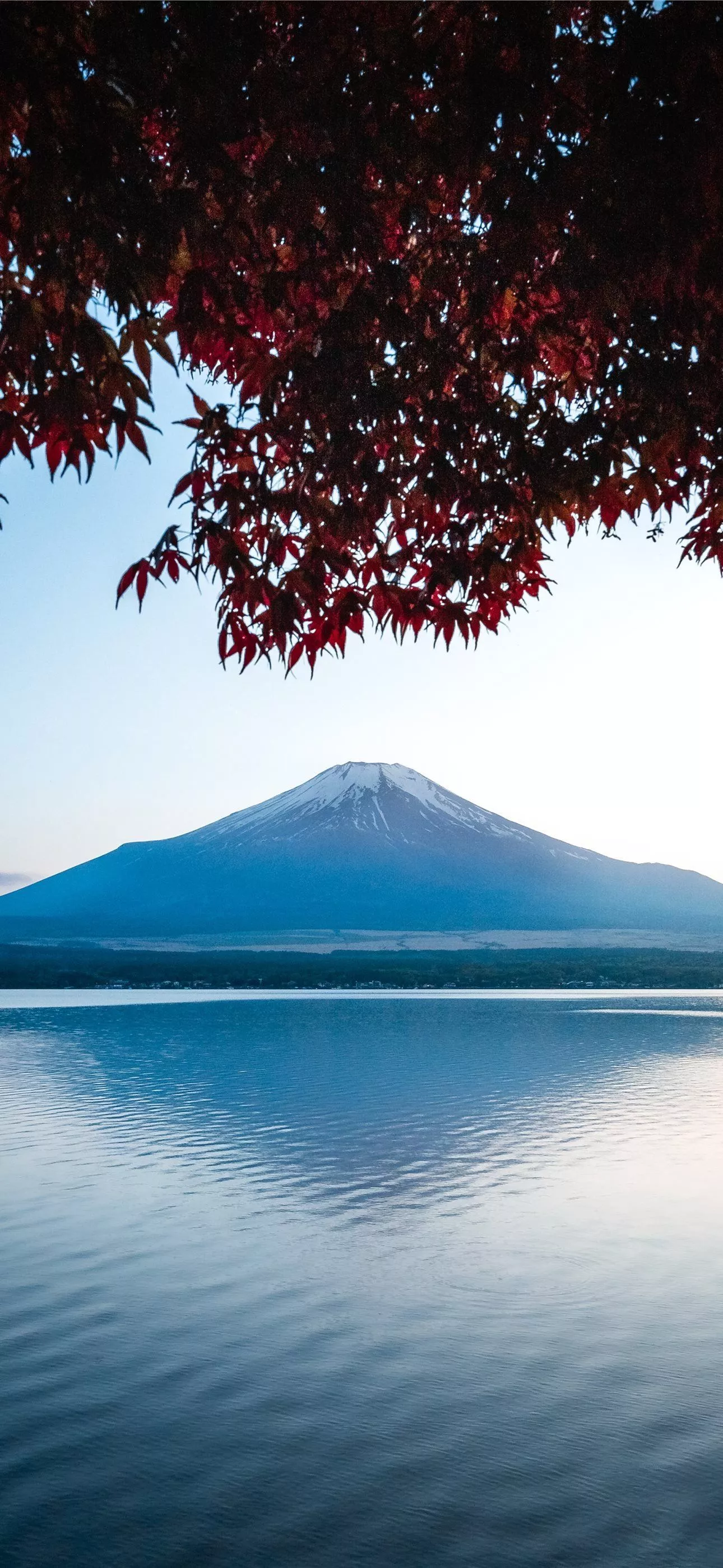 mountain near sea iPhone Wallpaper