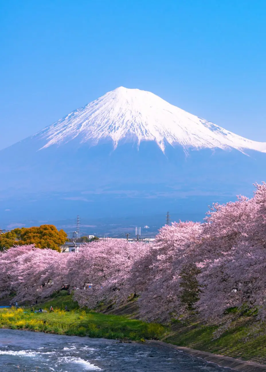 Epic Hotels with a Mount Fuji View in Japan