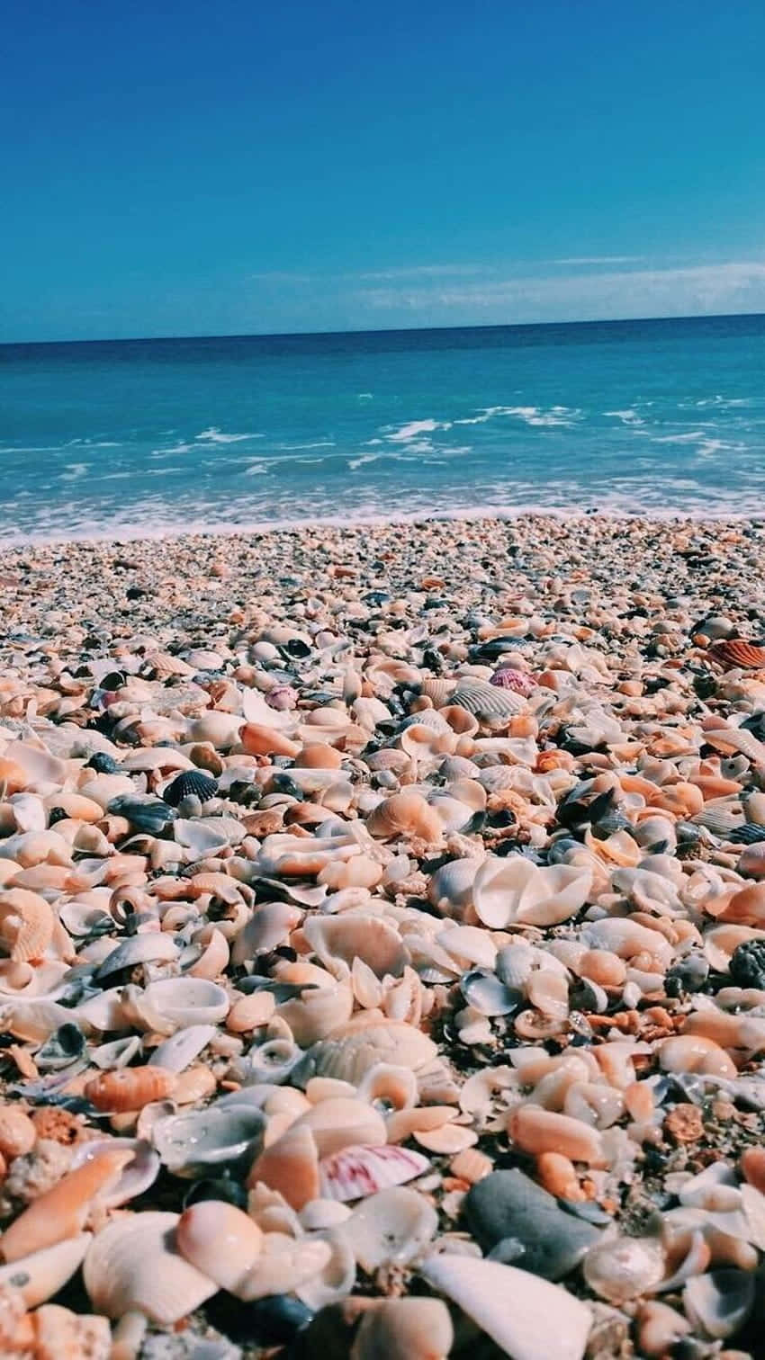 Aesthetic Preppy Beach Wallpaper
