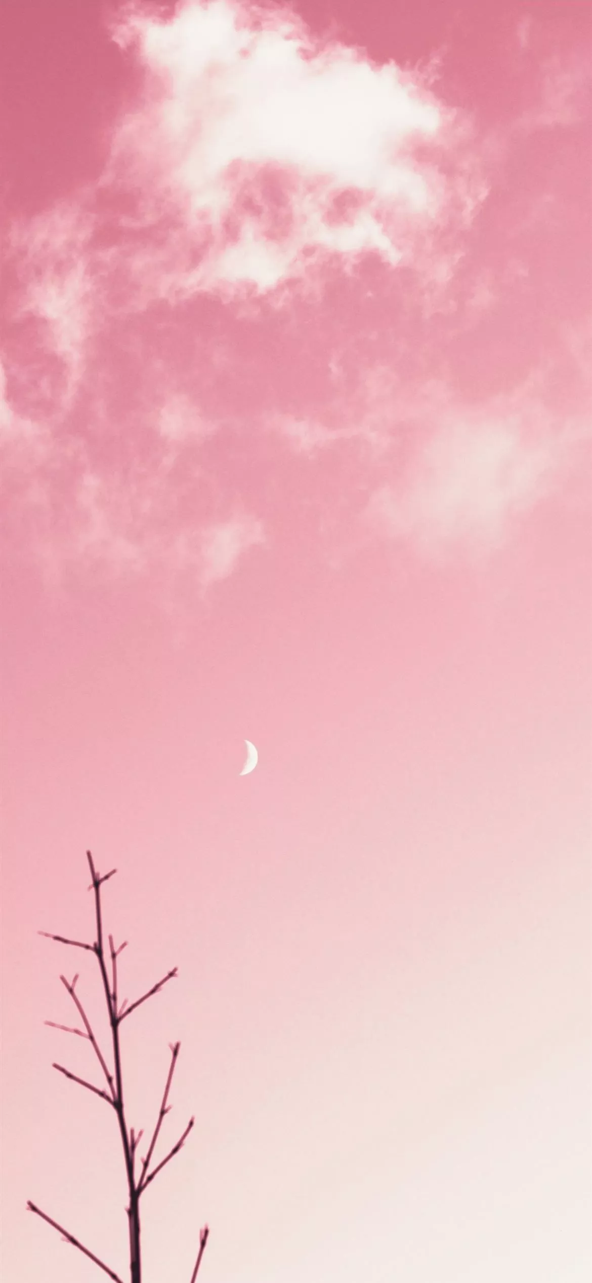 blue sky with moon iPhone Wallpaper