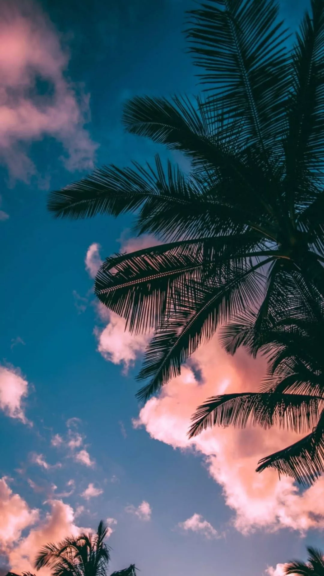 iPhone 7 Beach Wallpaper