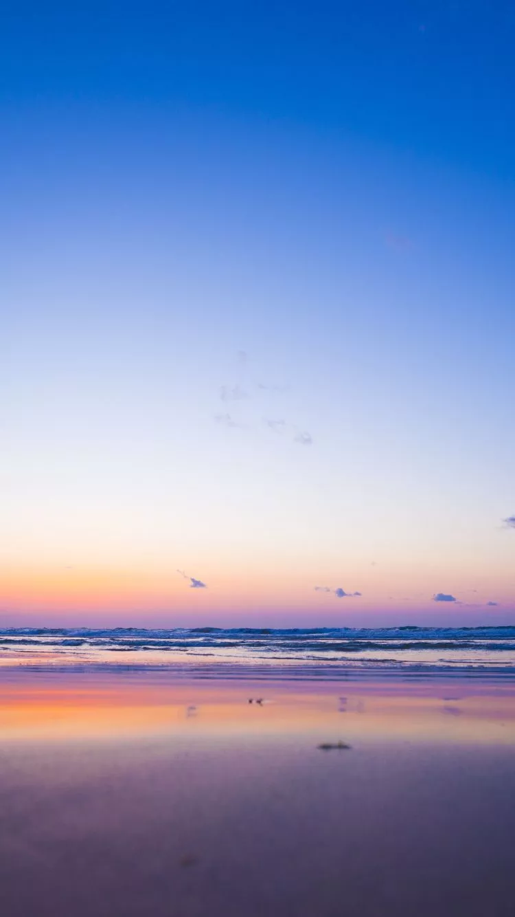 blue sunset, calm, beach, nature
