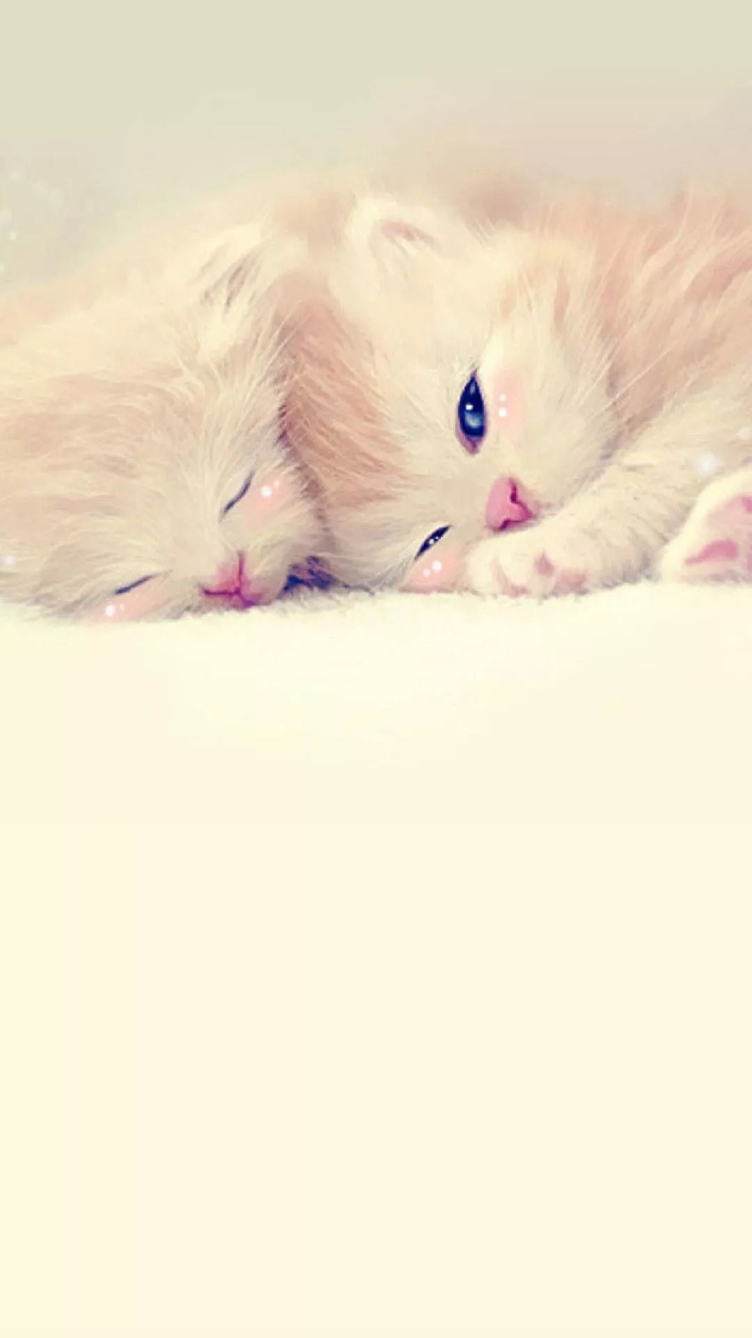 Kittens Cute iPhone Lock Screen