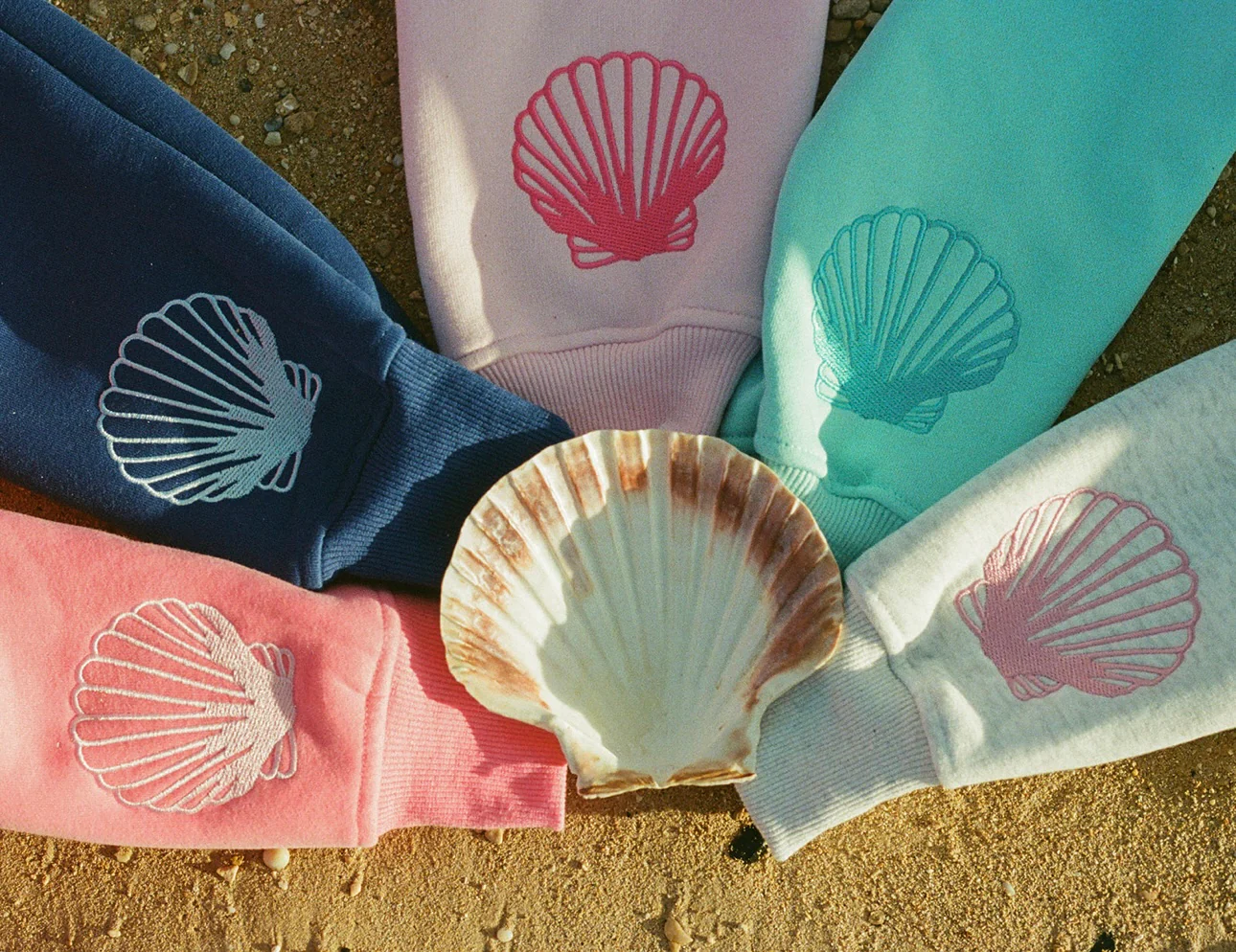 Pink Palm Puff Wallpapers - Wallpaper Cave