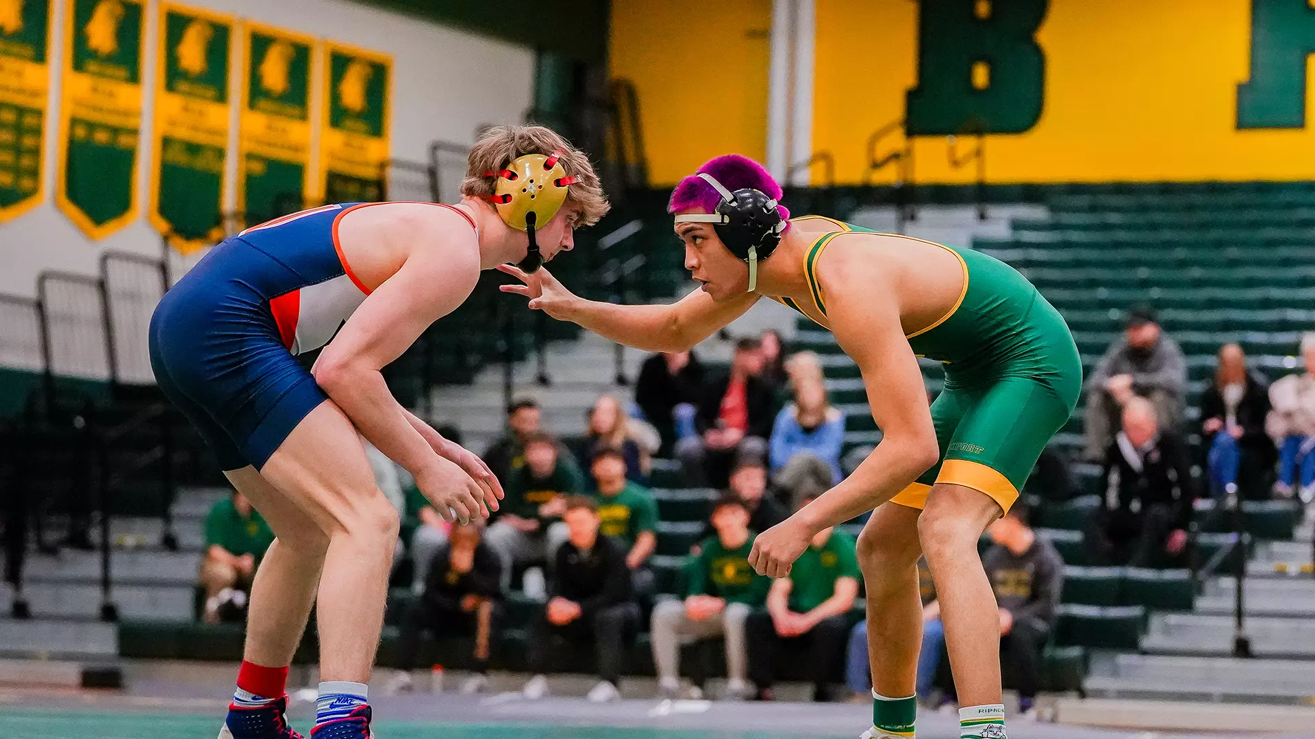 Elmira Brockport Athletics