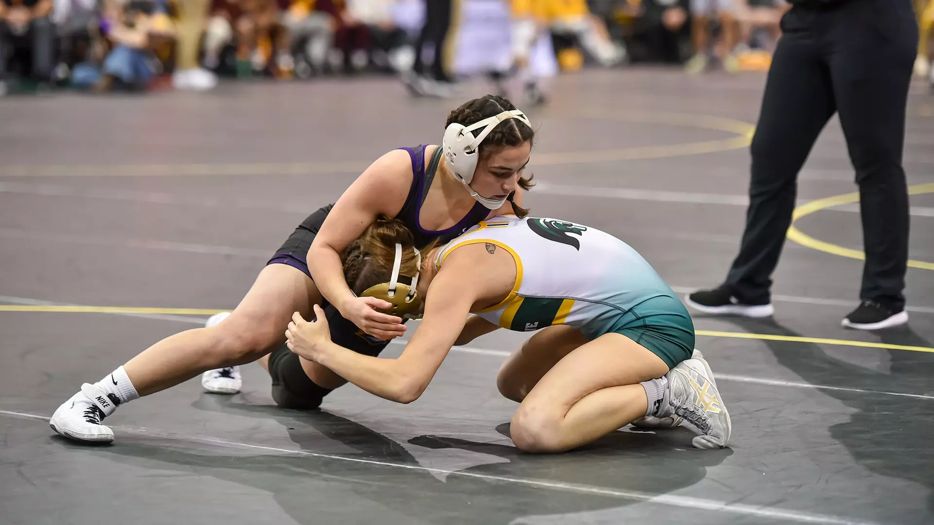Elmira College Athletics