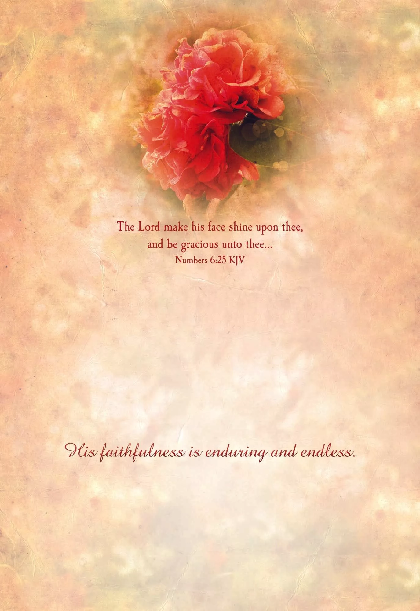 Vintage Floral Assortment