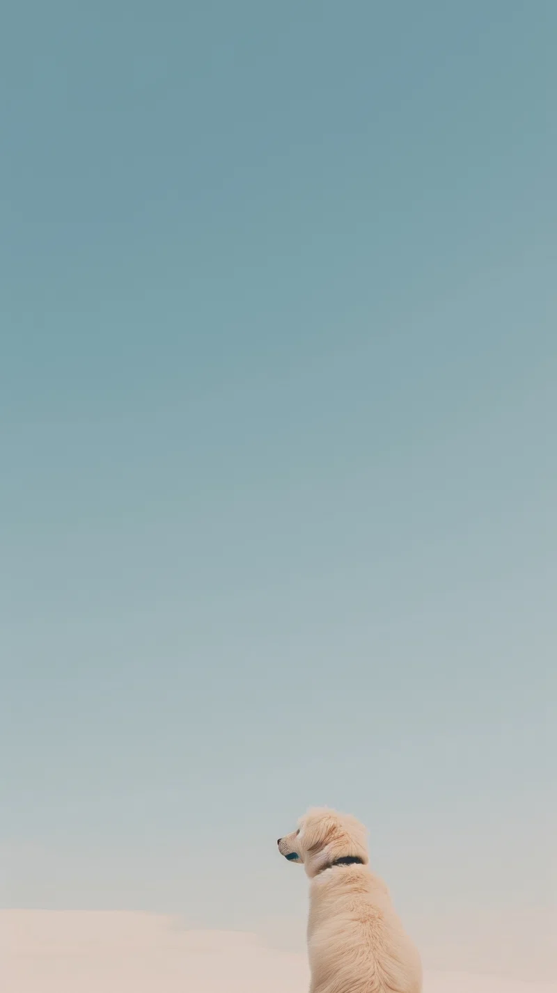 iPhone Wallpaper Dog Image. Free