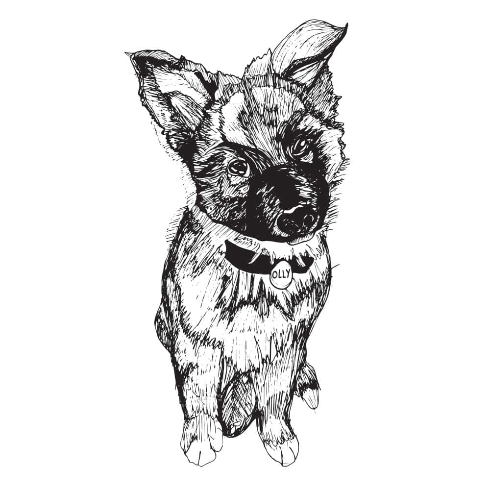 Download A Drawing Of A Dog With A