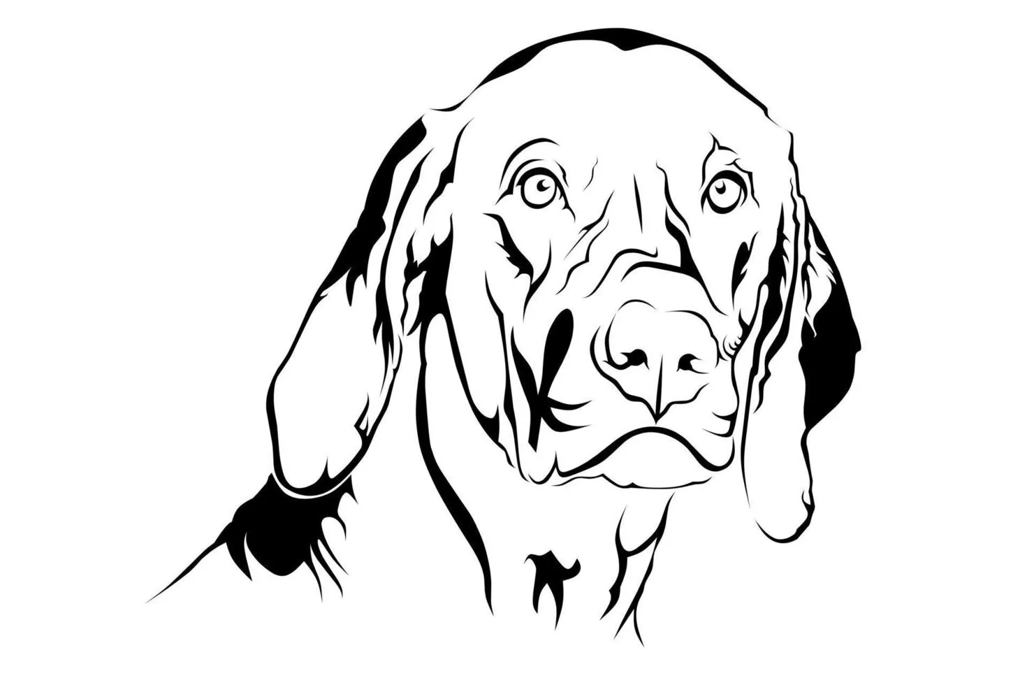 pet dog line art vector image 17674000
